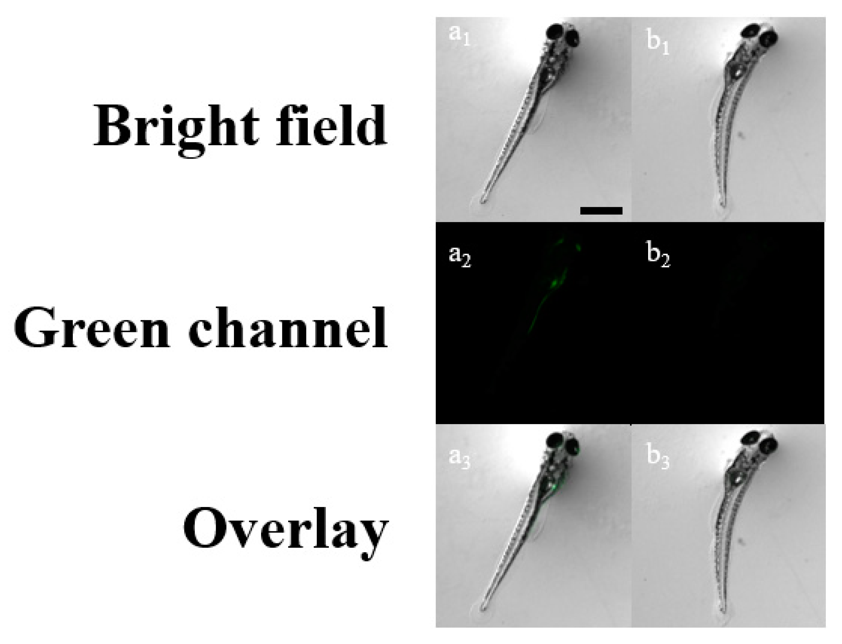Sensors 20 04764 g008