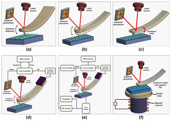 Review: Cantilever-Based Sensors for High Speed Atomic Force