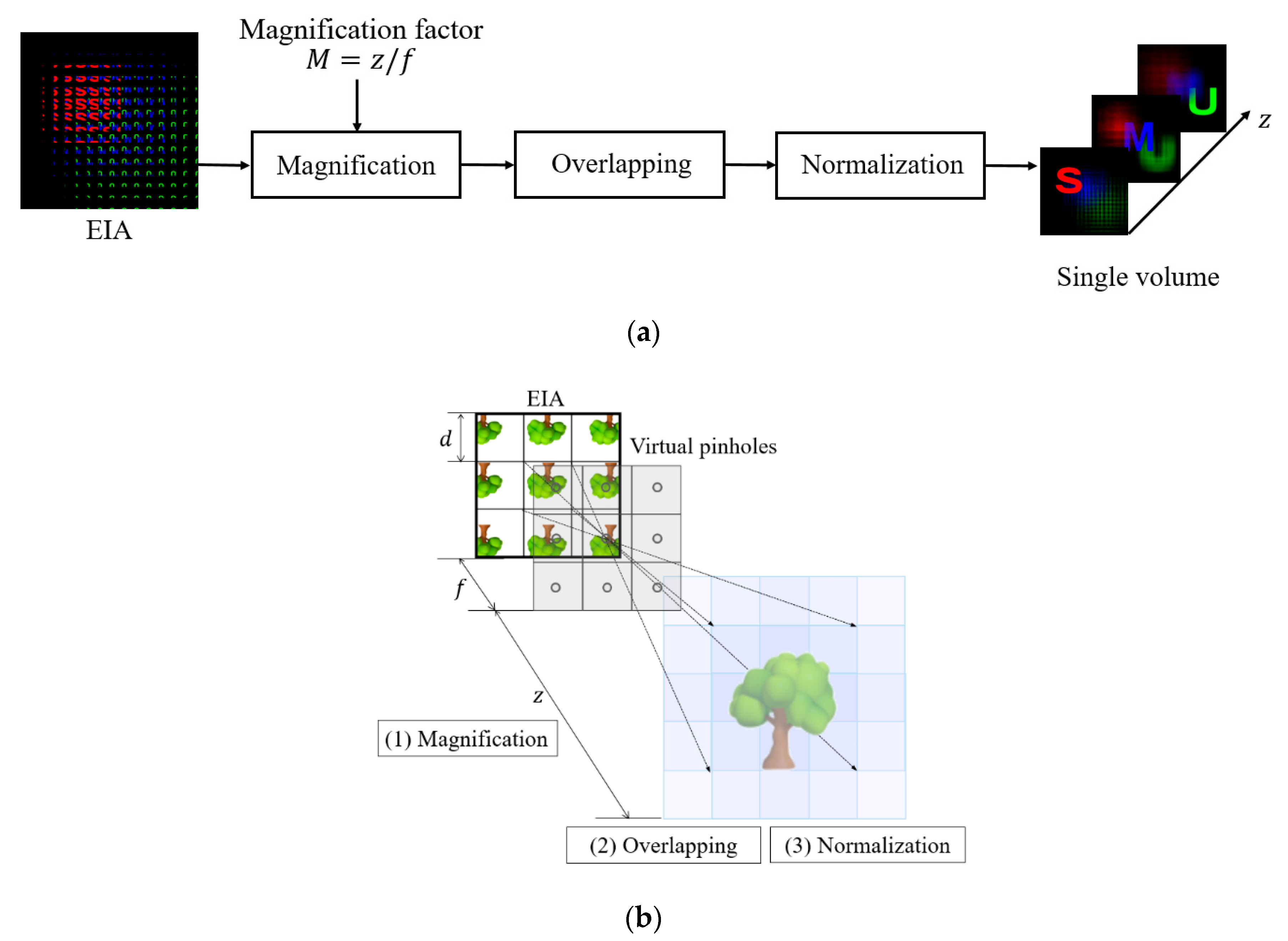 Sensors 20 04795 g002 550