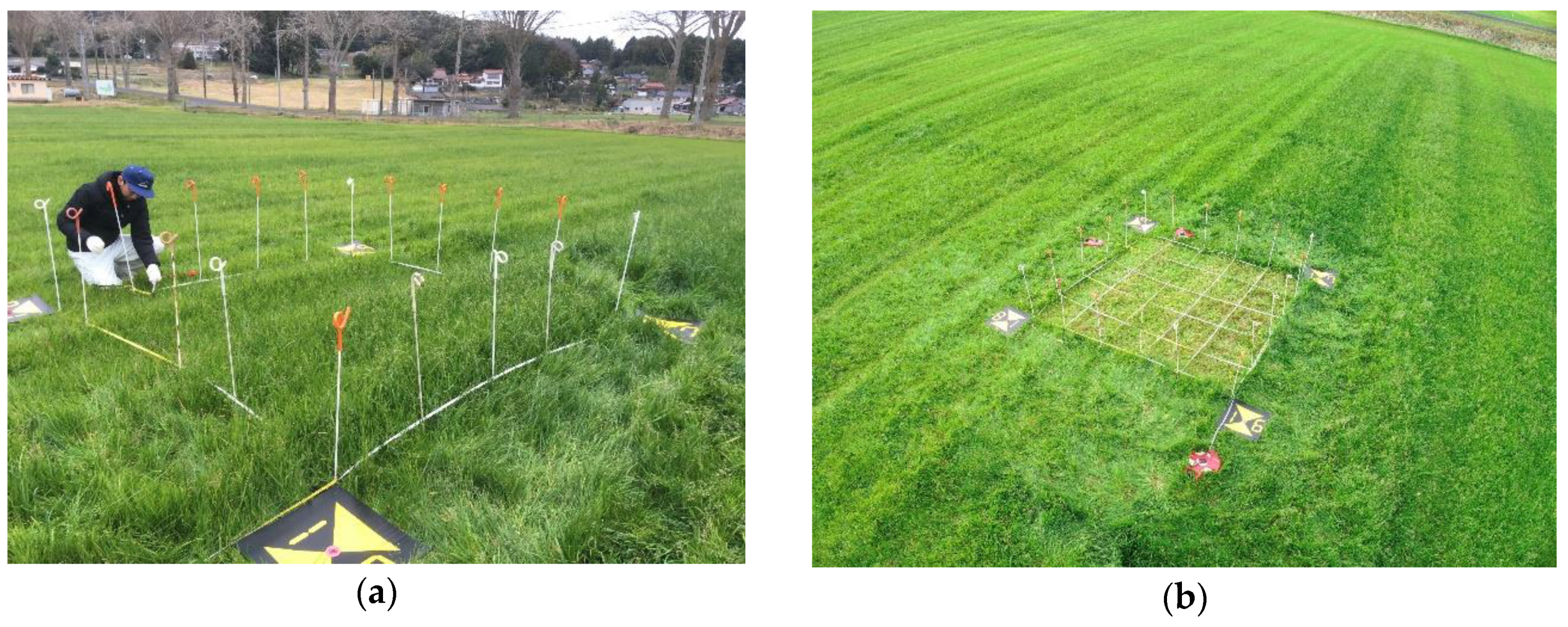 Sensors 20 04809 g001