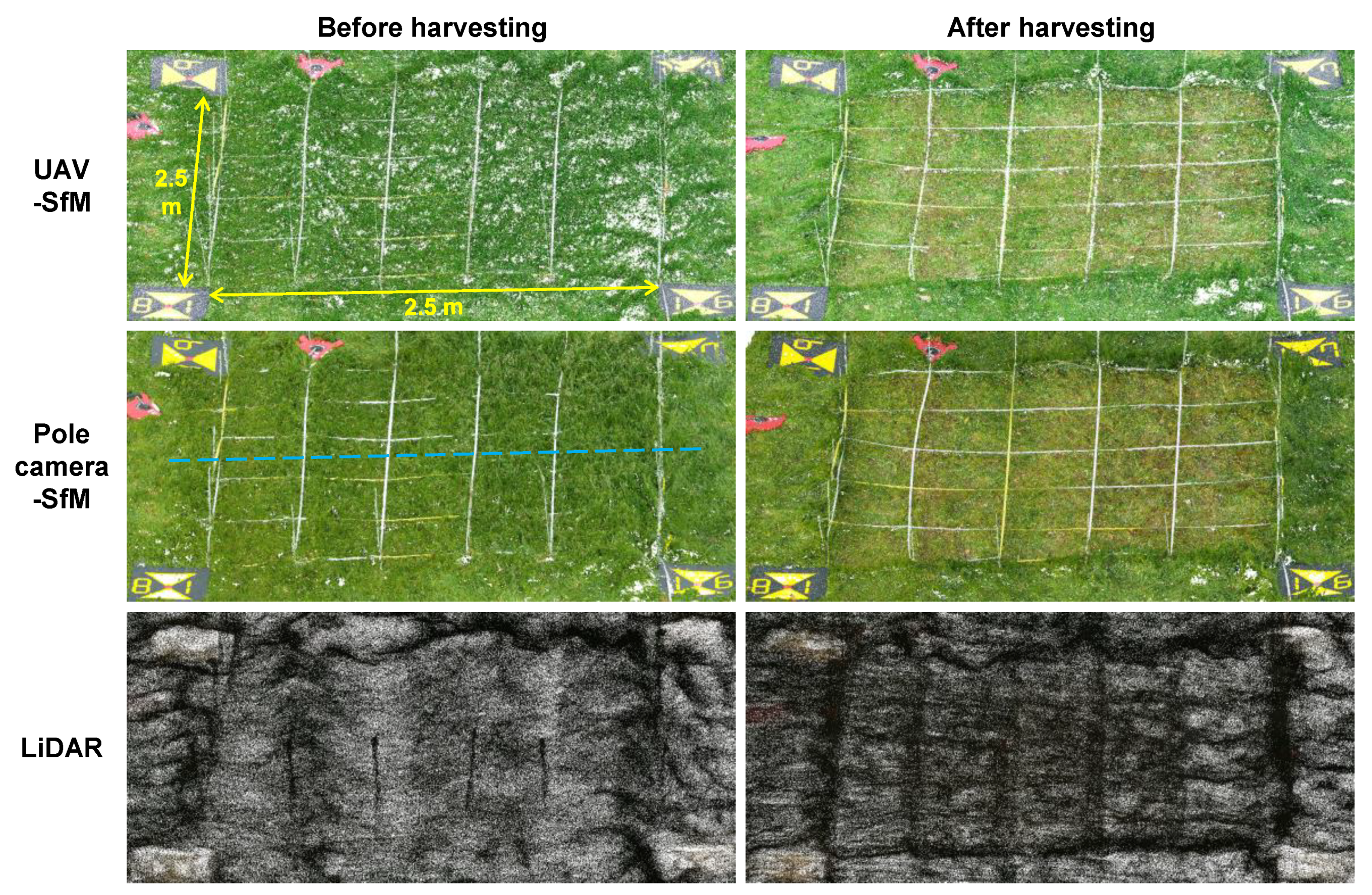 Sensors 20 04809 g004