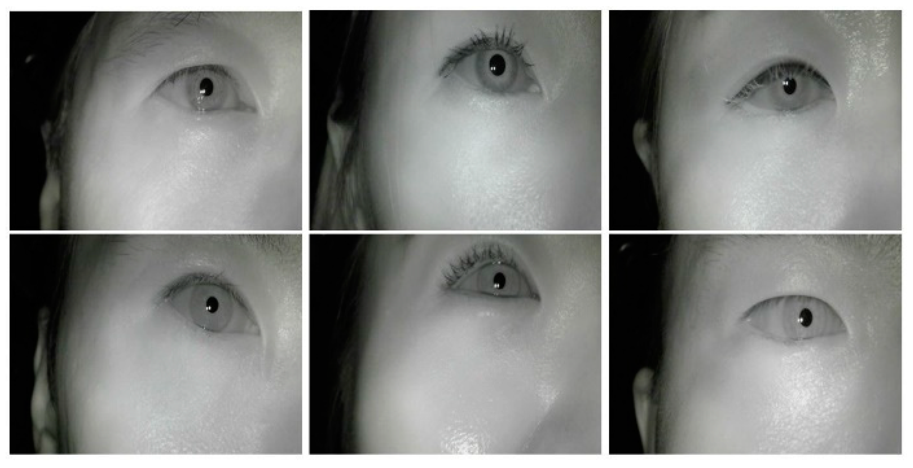 Sensors 20 04814 g003