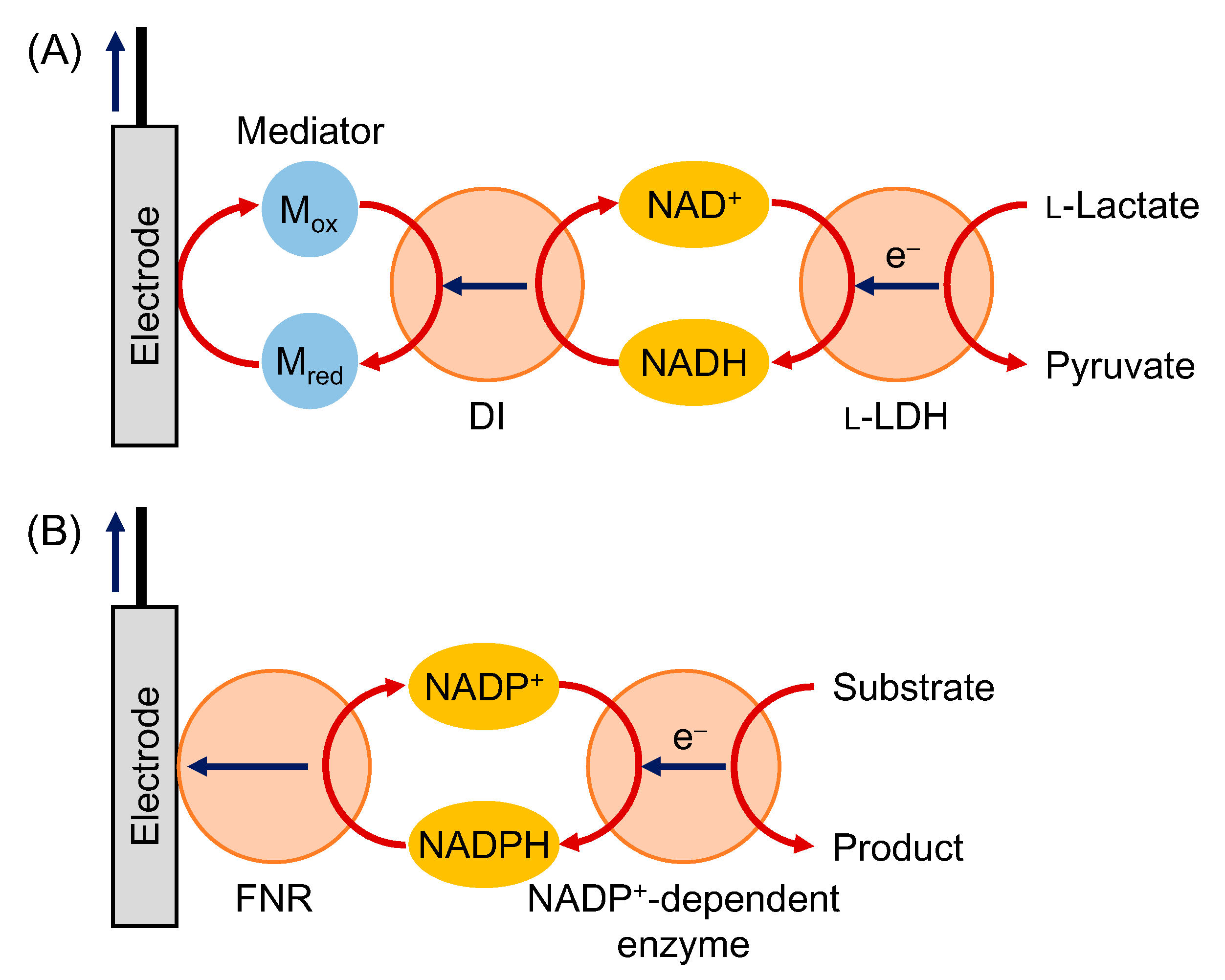 Development Perspective of Bioelectrocatalysis-Based Biosensors