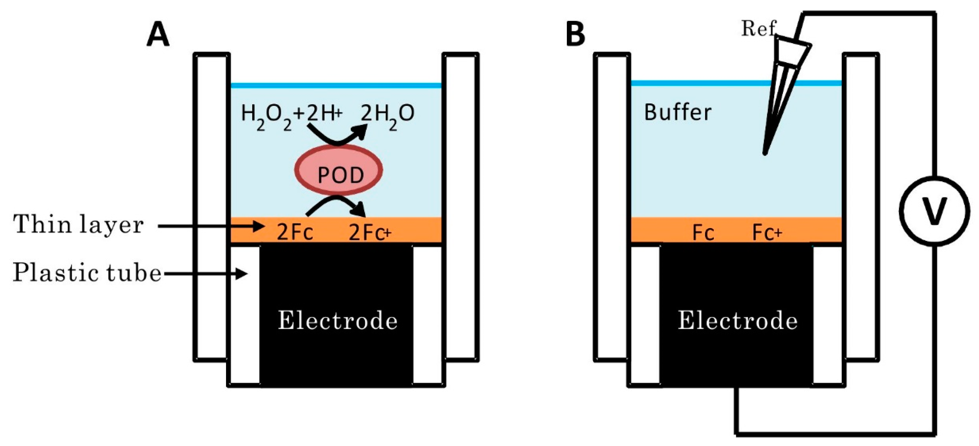 Development Perspective of Bioelectrocatalysis-Based Biosensors