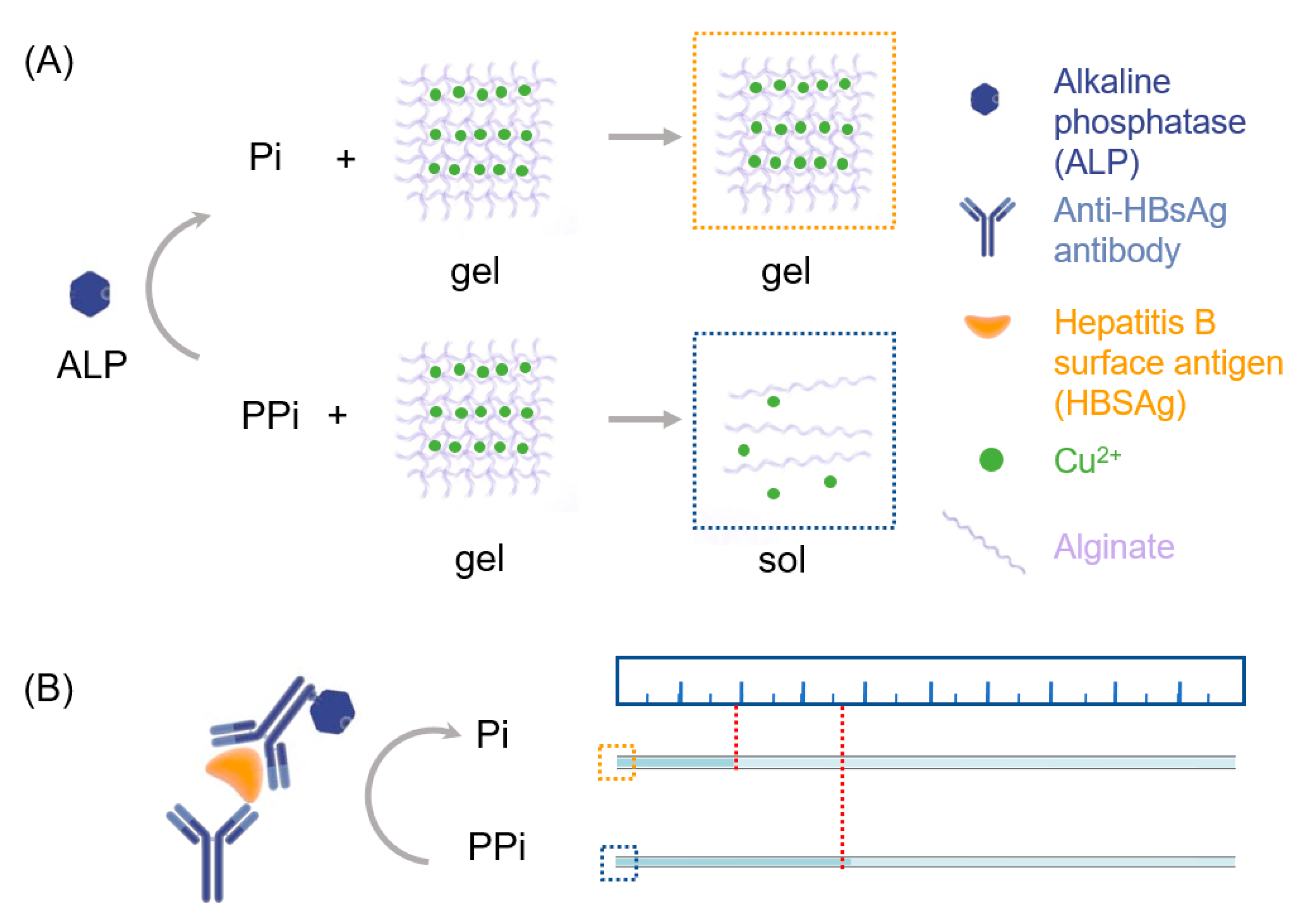 Sensors 20 04831 g001 Sensors 20 04831 g001