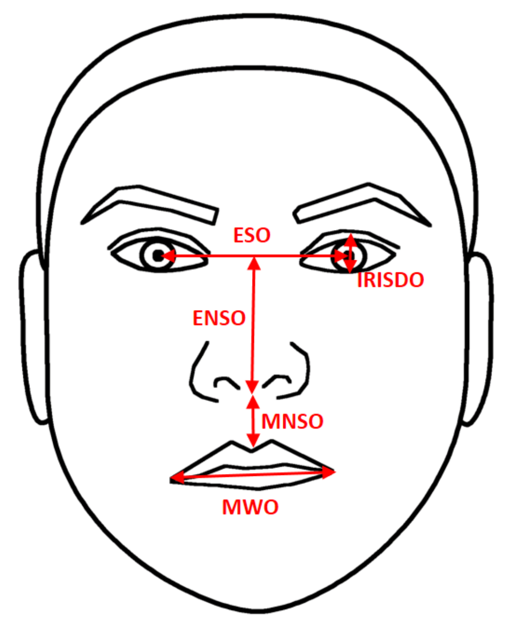 Sensors 20 04847 g004 Sensors 20 04847 g004