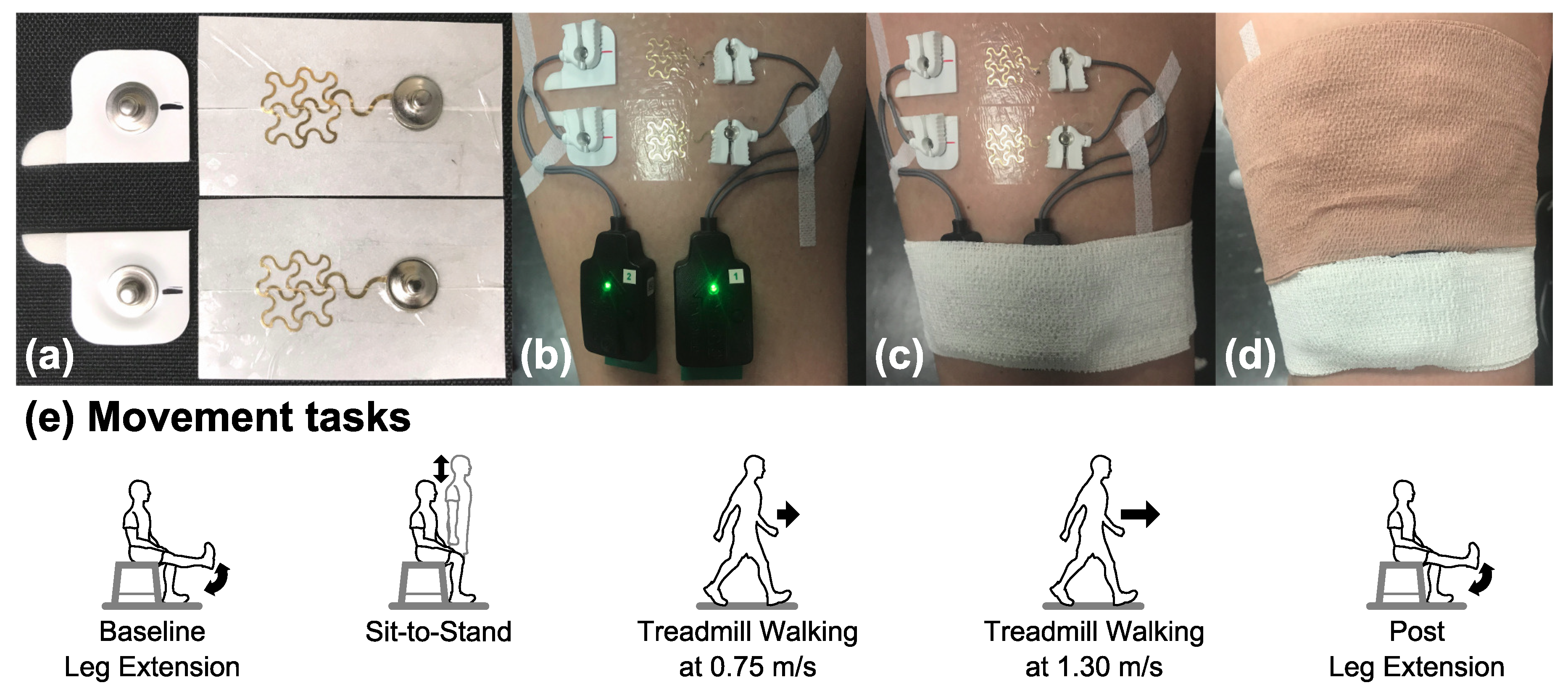 Sensors 20 04848 g001