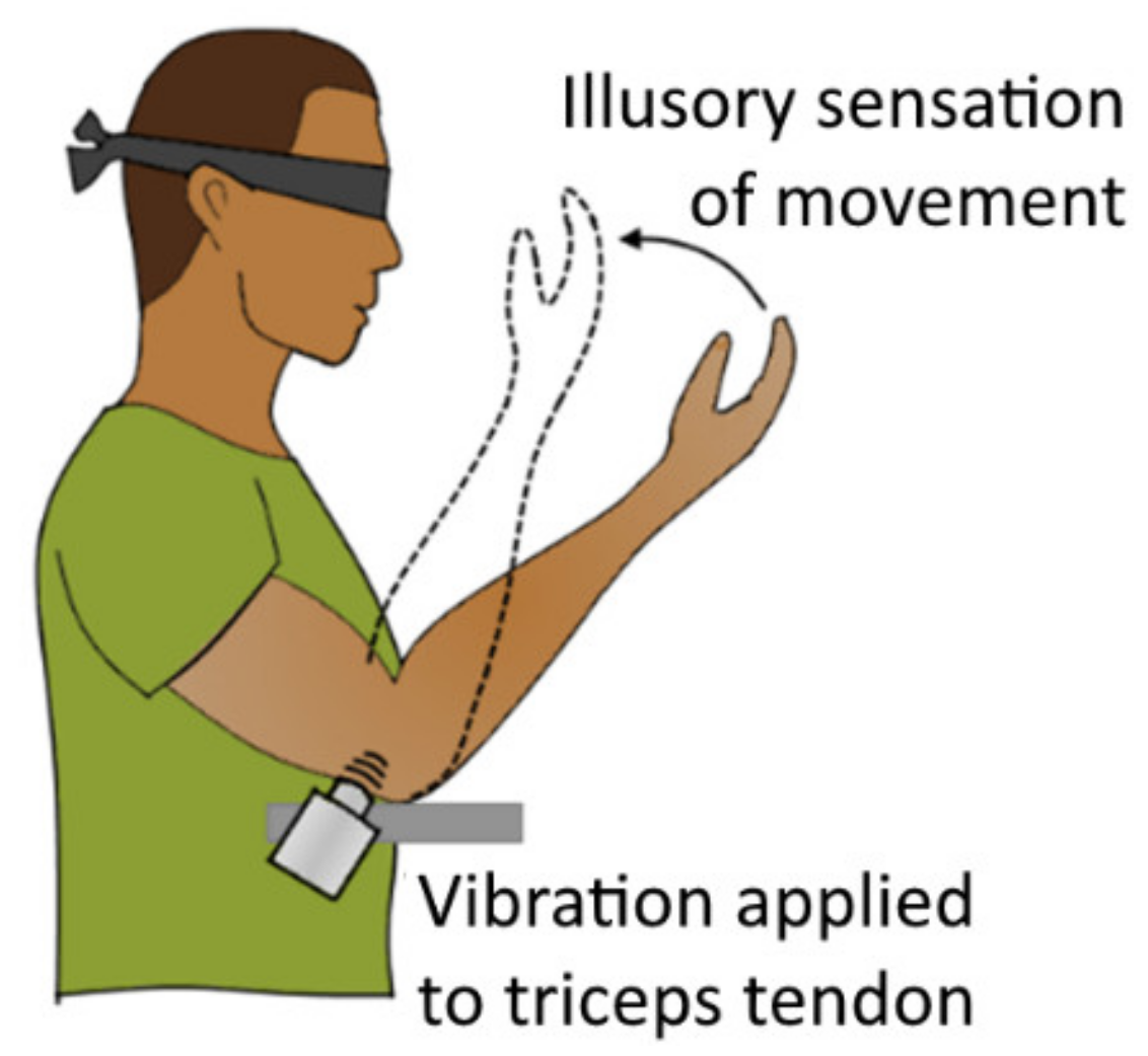 Sensors 20 04883 g012 Sensors 20 04883 g012