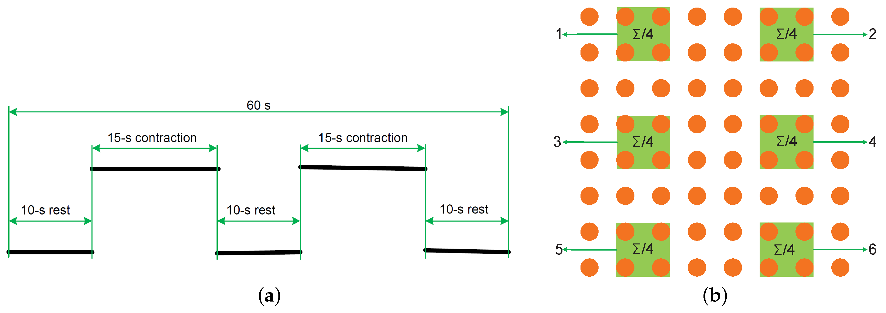 Sensors 20 04890 g001