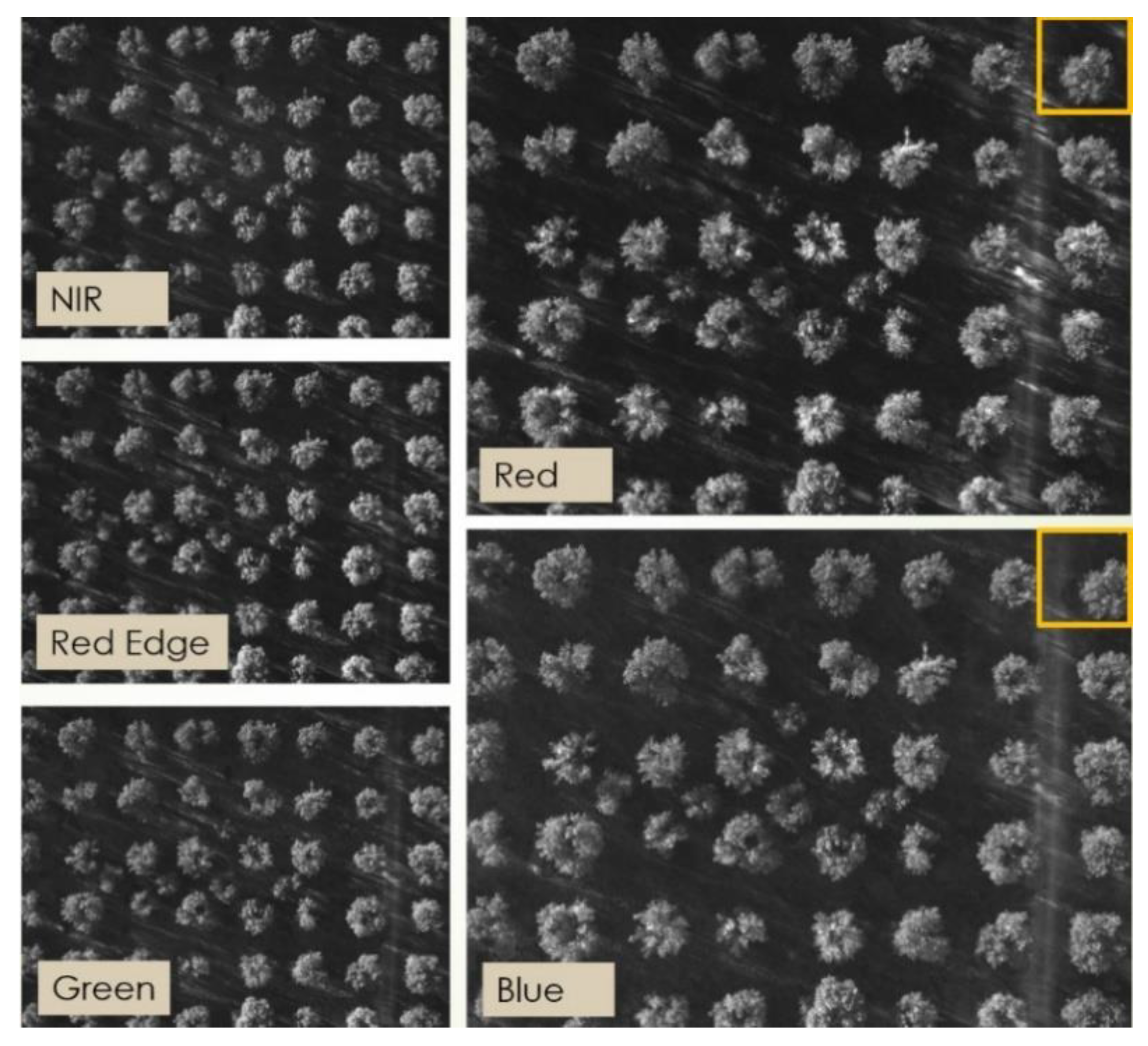 Sensors 20 04915 g008 Sensors 20 04915 g008