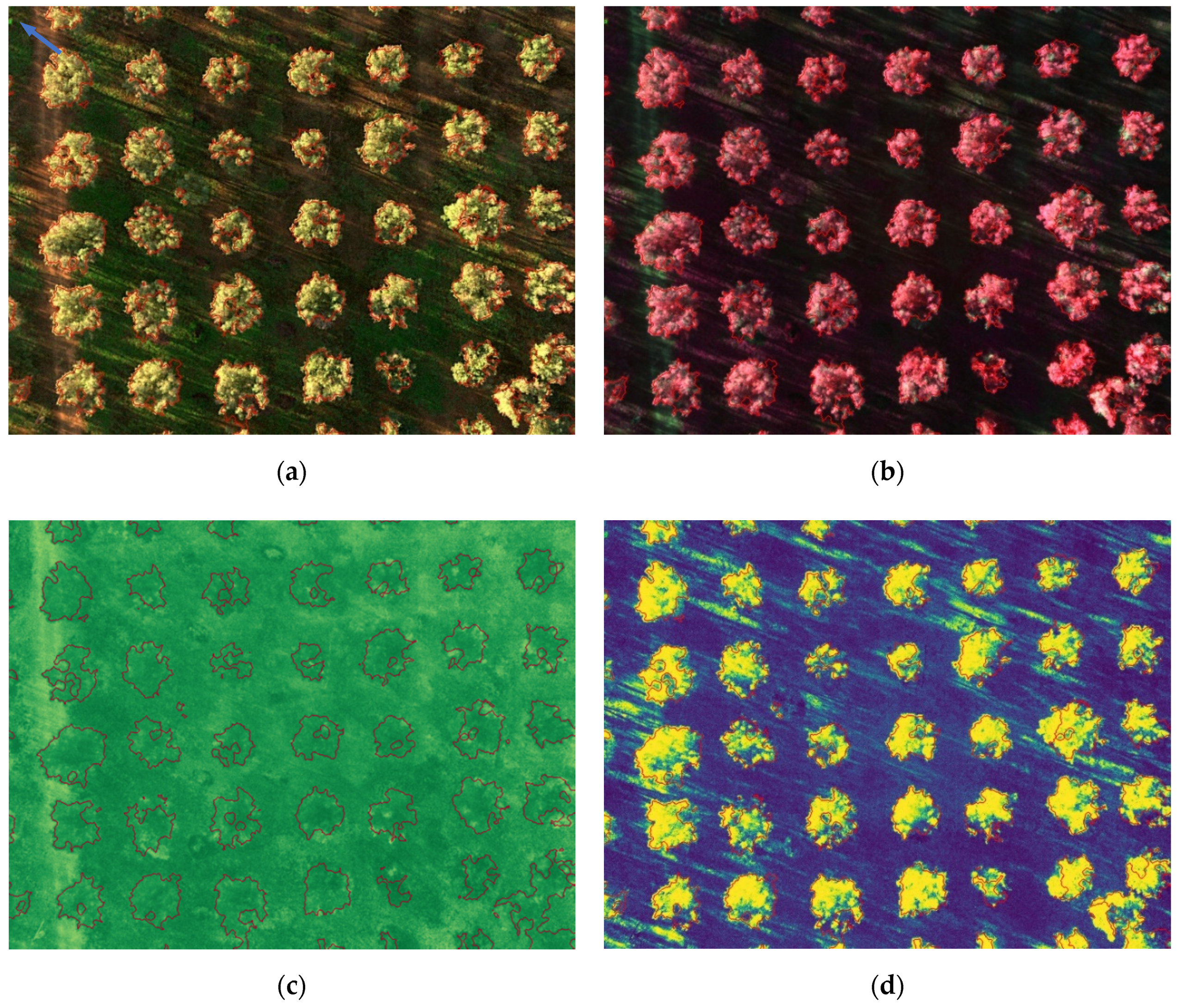 Sensors 20 04915 g014 Sensors 20 04915 g014