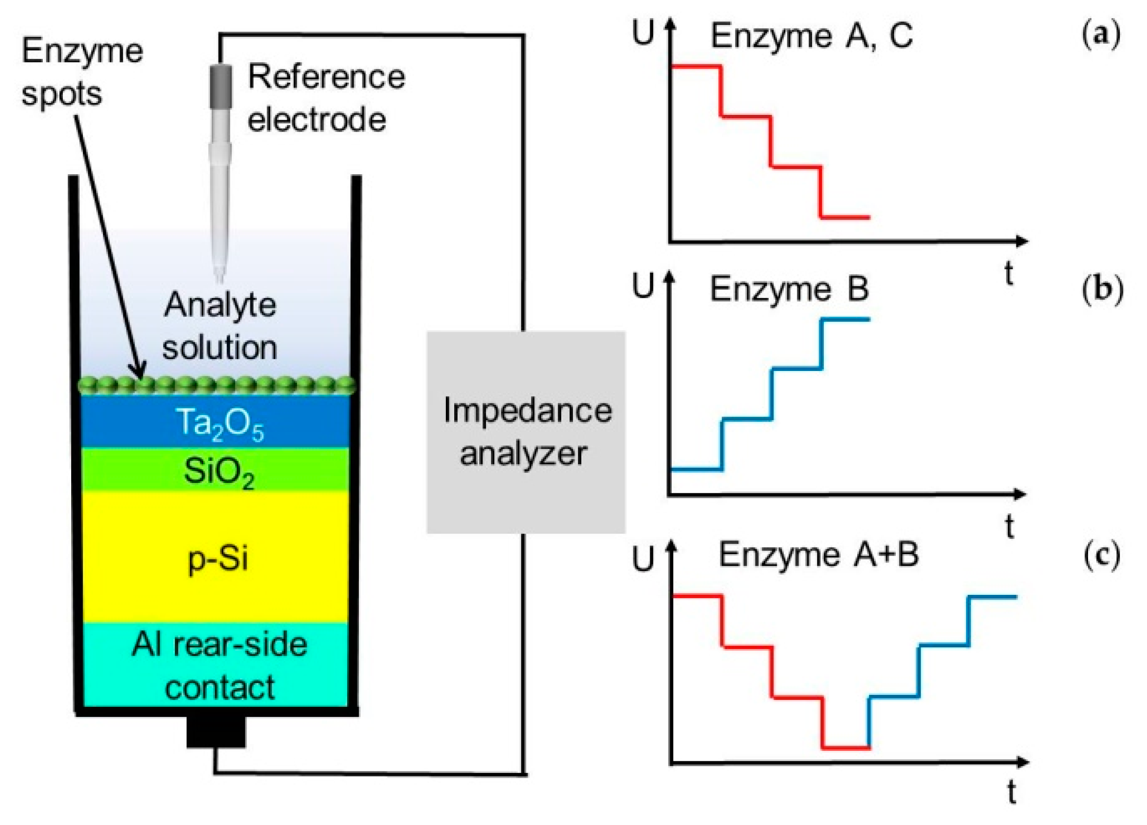 Sensors 20 04924 g001 Sensors 20 04924 g001