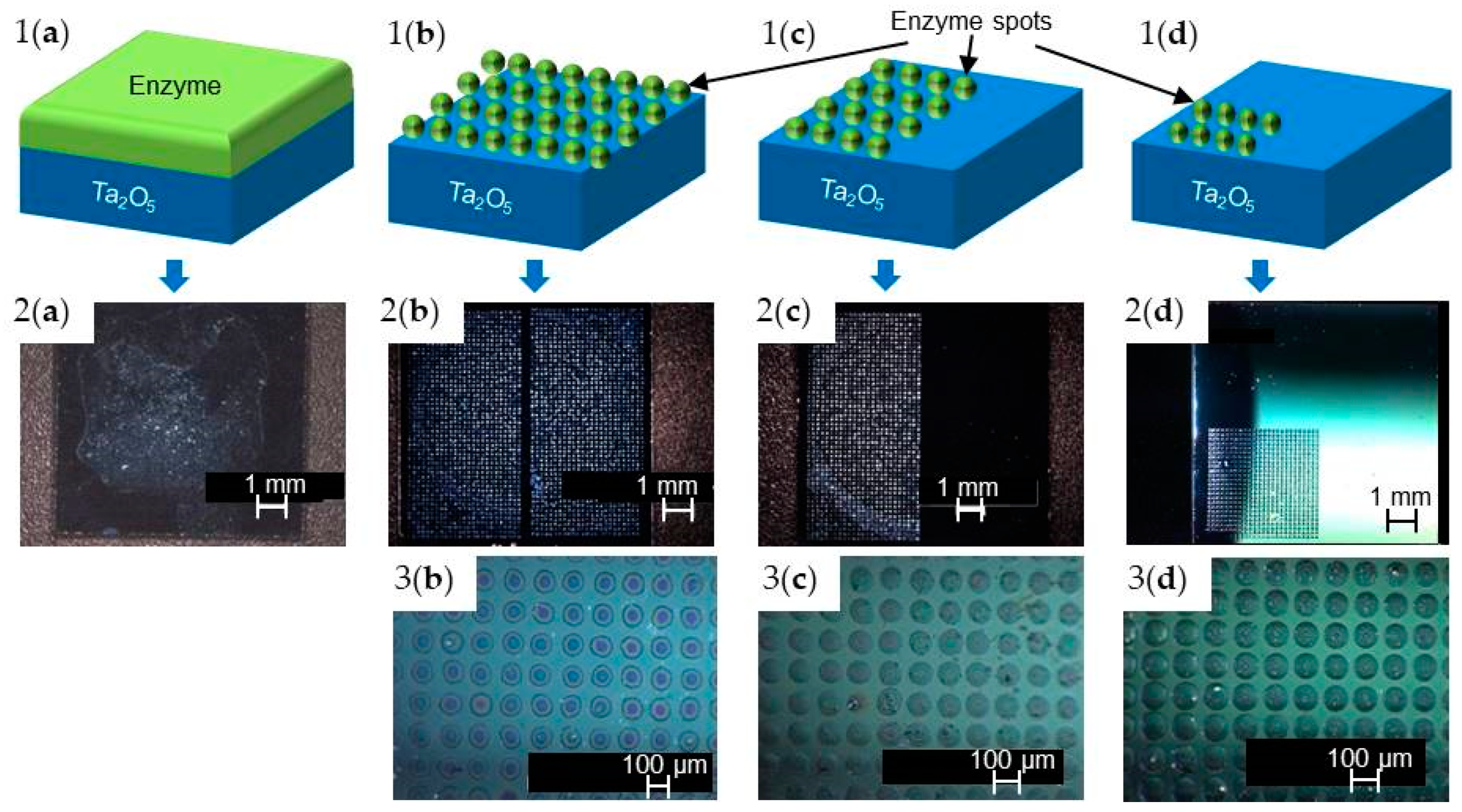 Sensors 20 04924 g002 Sensors 20 04924 g002