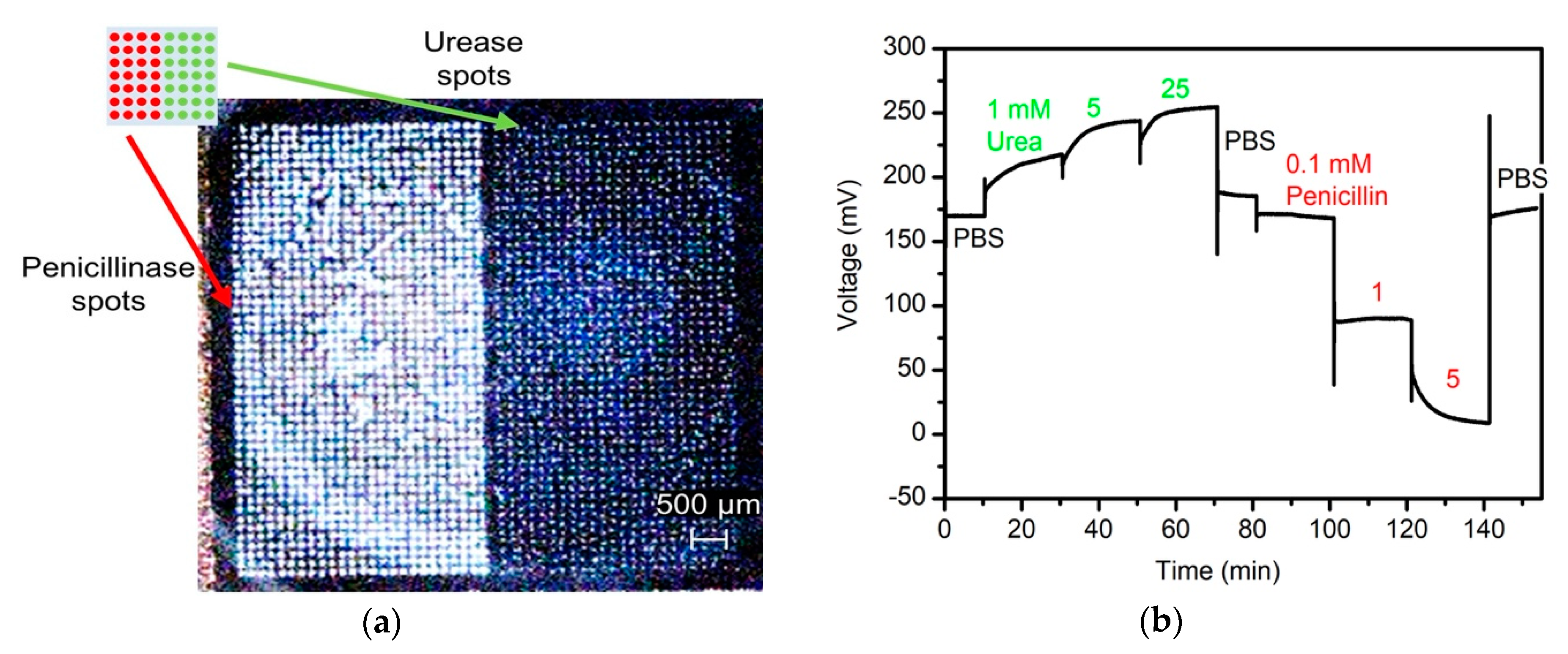 Sensors 20 04924 g005 Sensors 20 04924 g005