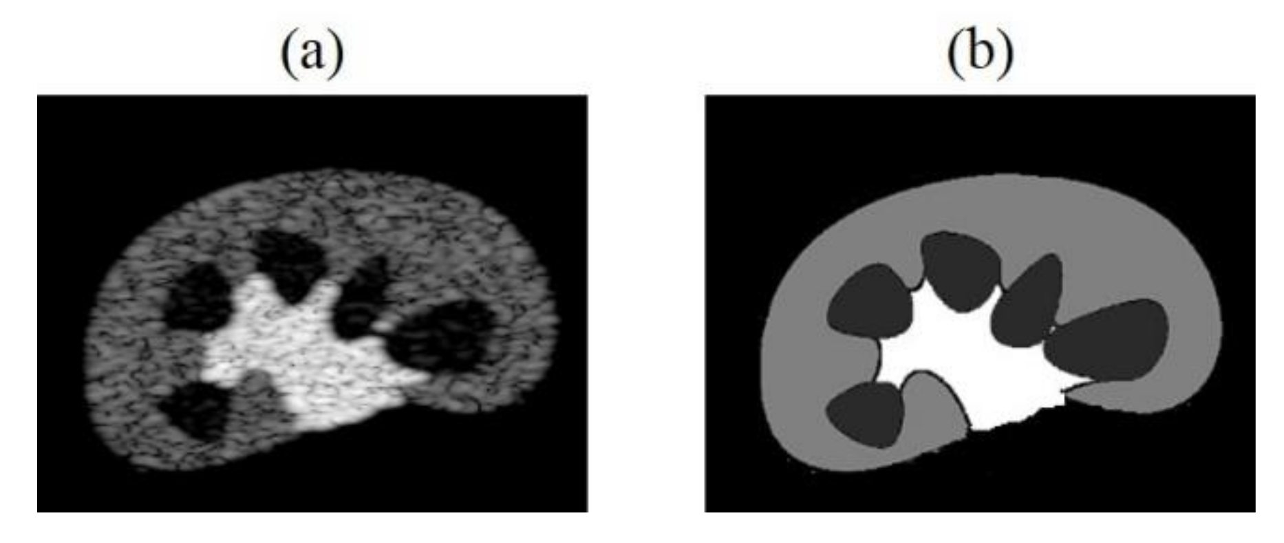 Sensors 20 04931 g013