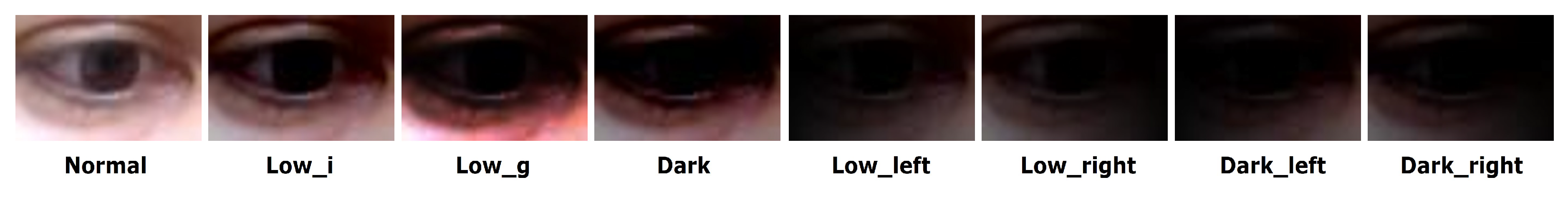 Sensors 20 04935 g003 Sensors 20 04935 g003