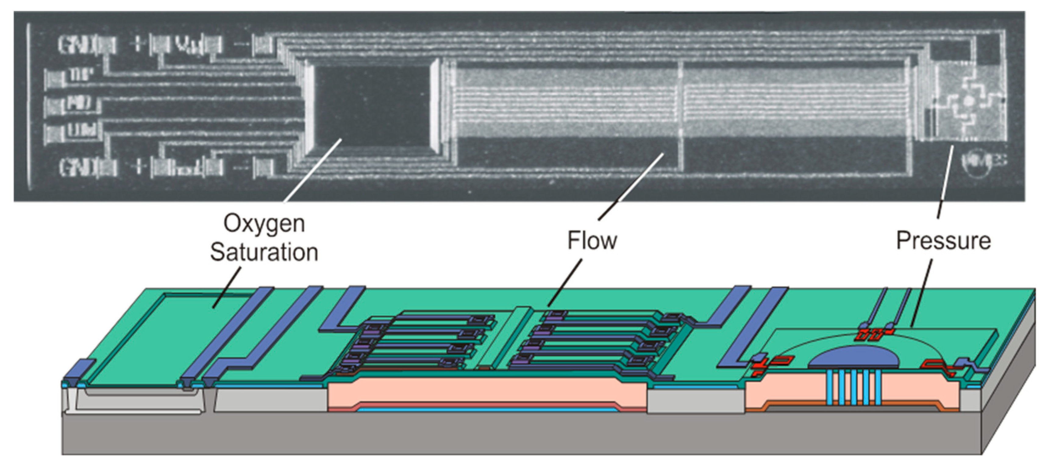 Sensors 20 04953 g007