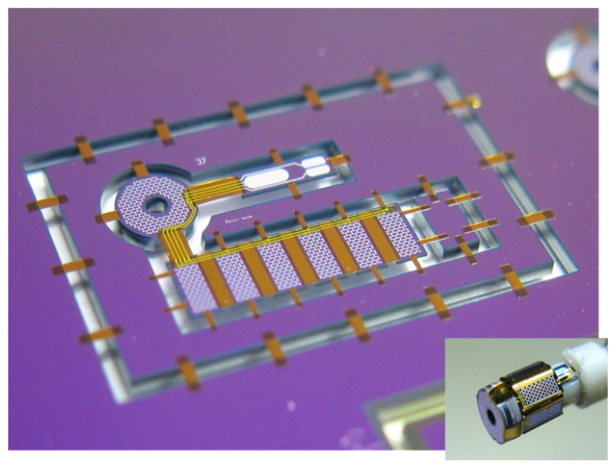 Sensors 20 04953 g008