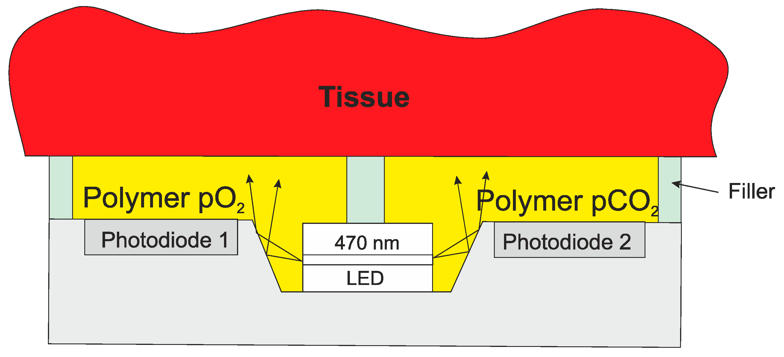 Sensors 20 04953 g011