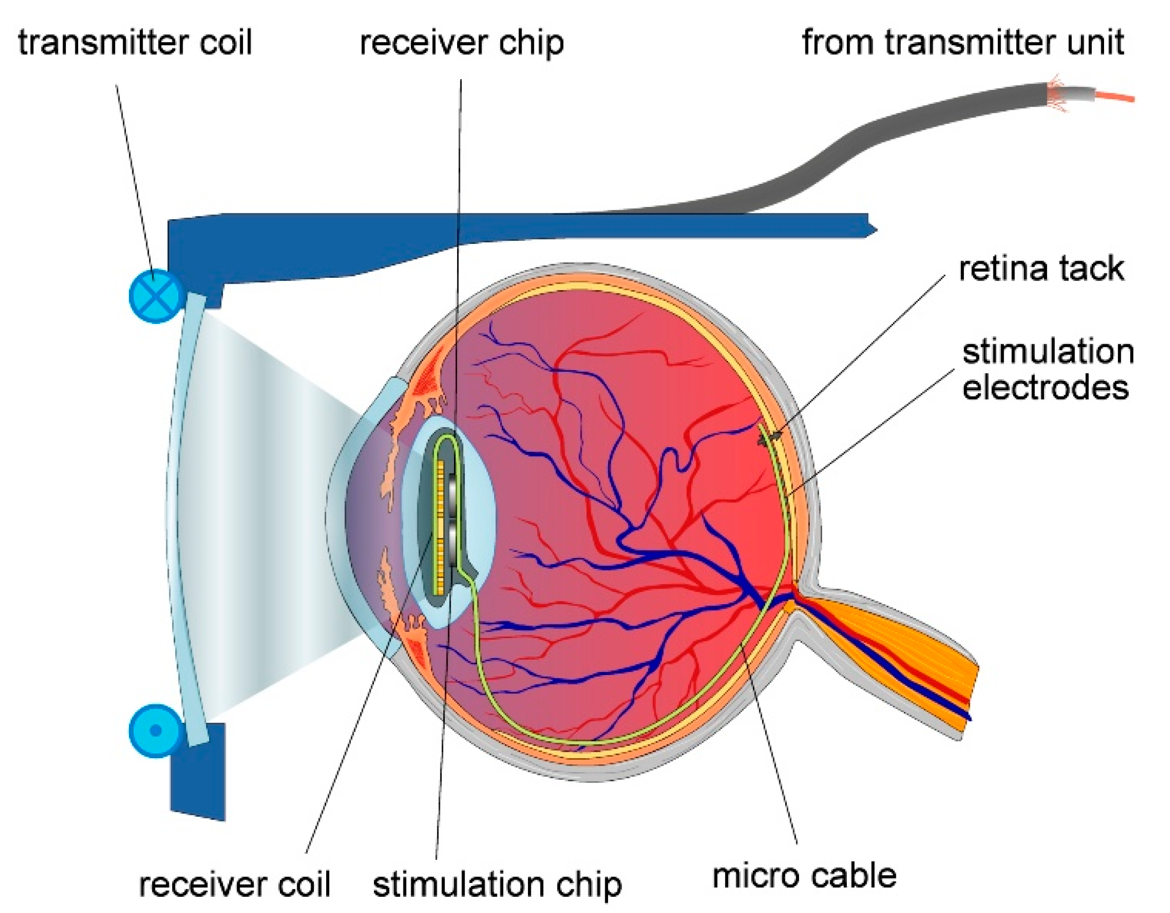 Sensors 20 04953 g016