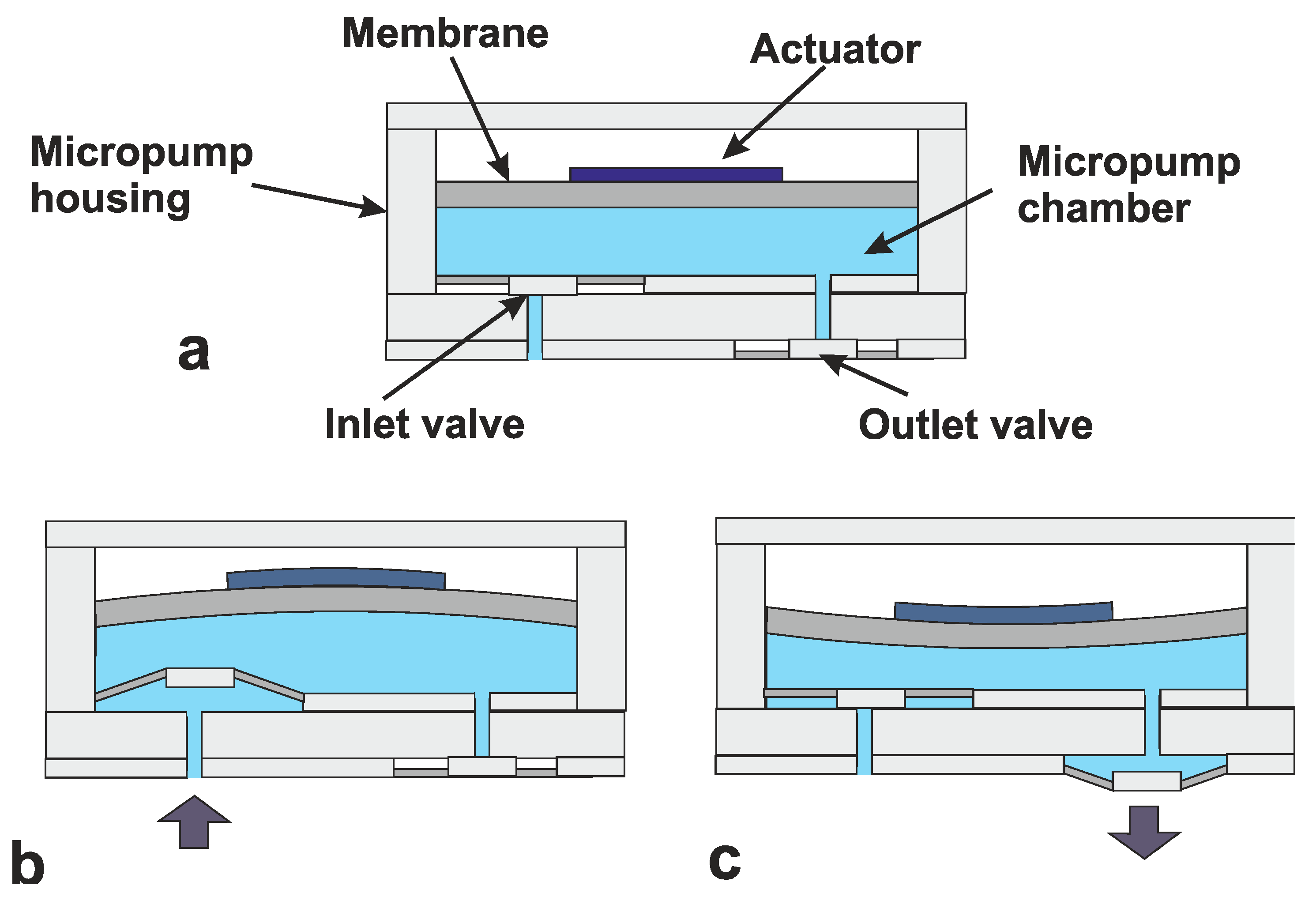 Sensors 20 04953 g020