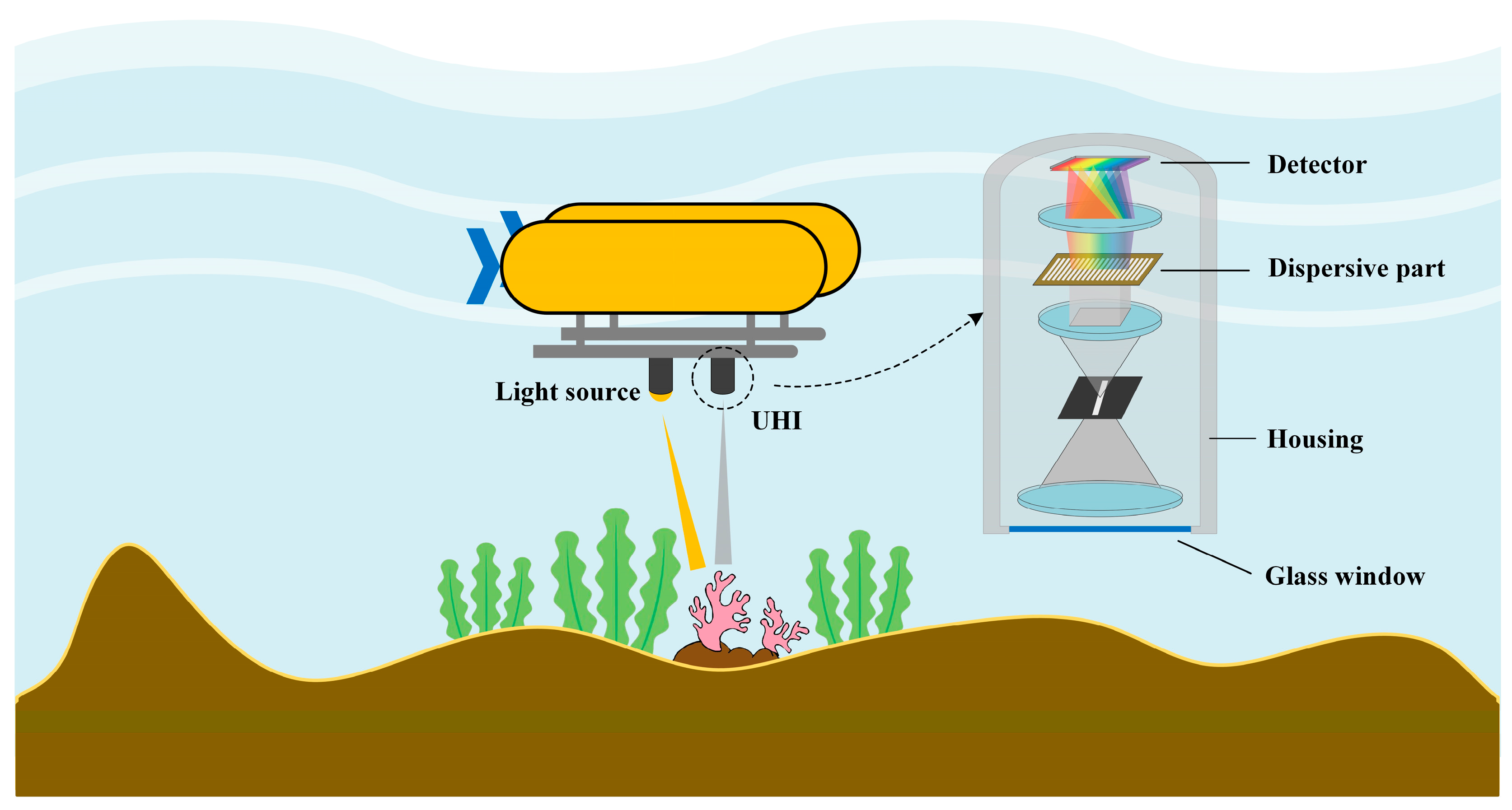 Scuba BGA algae sensor