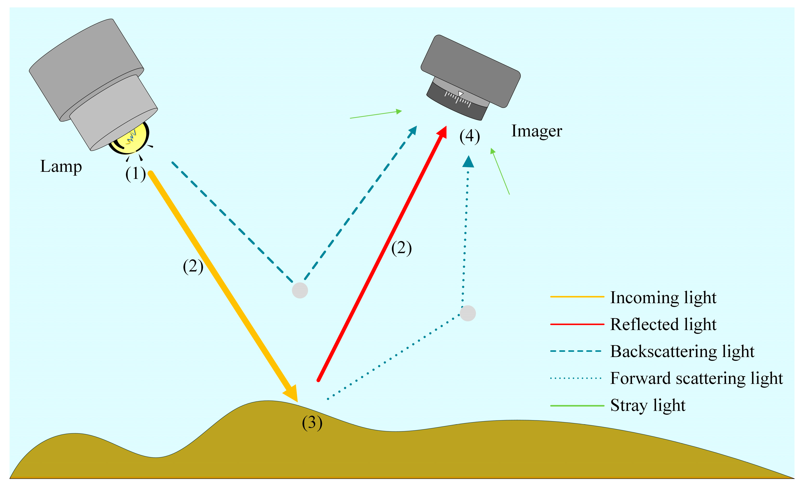 Sensors 20 04962 g002