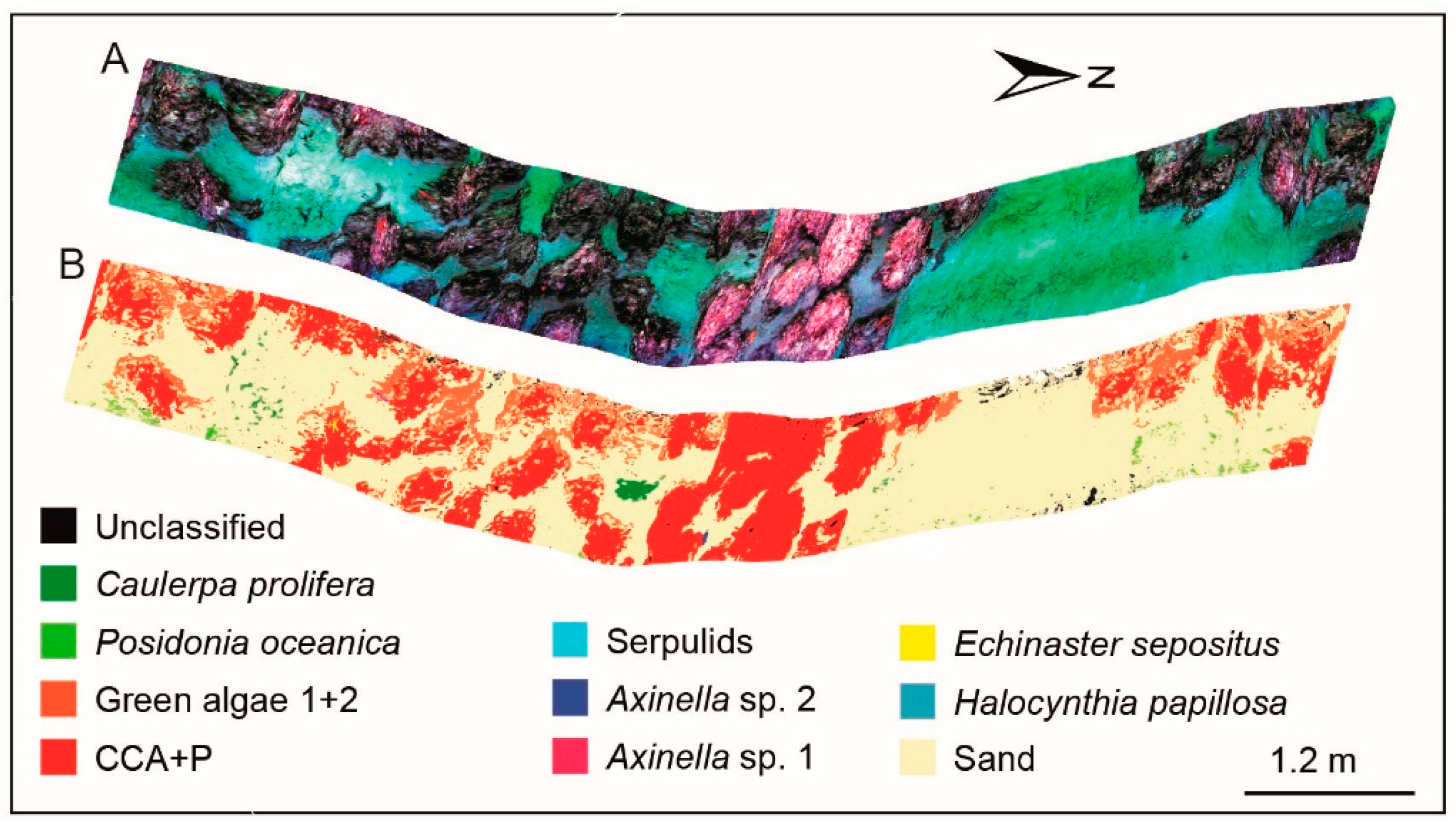 Sensors 20 04962 g005