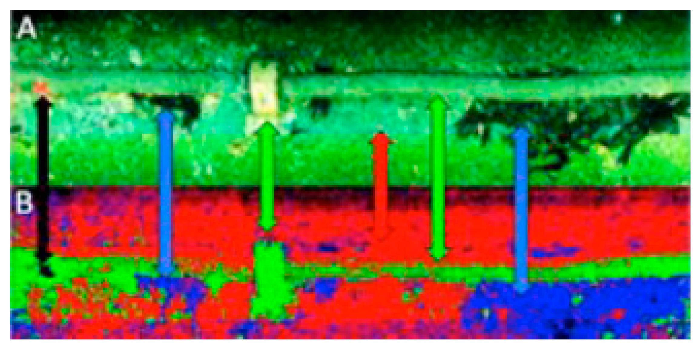 Sensors 20 04962 g007