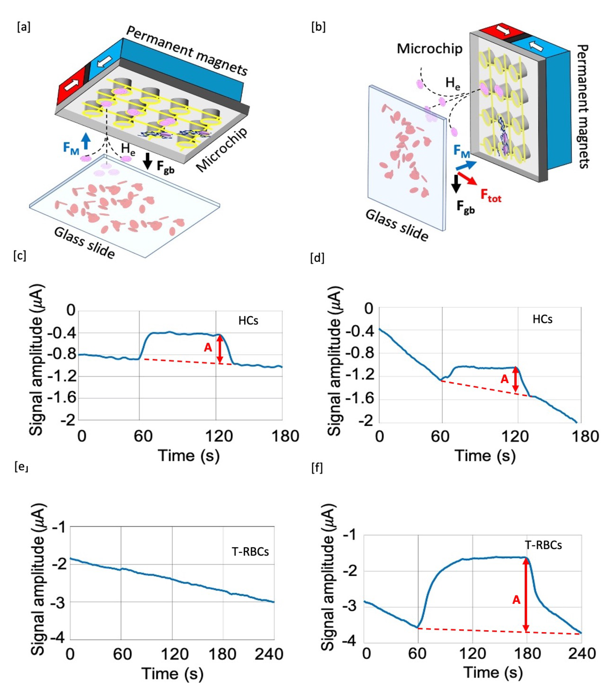 Sensors 20 04972 g002 Sensors 20 04972 g002