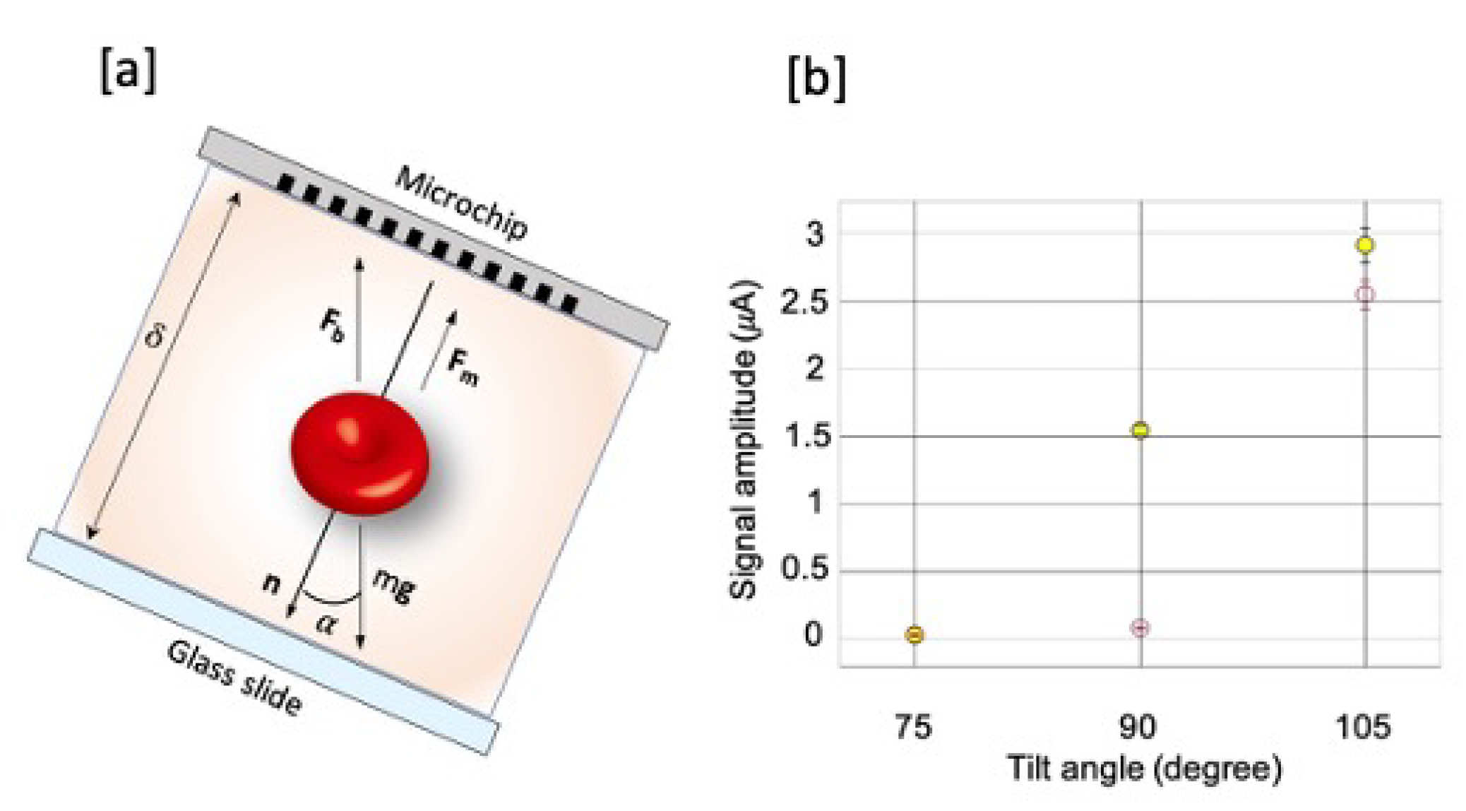 Sensors 20 04972 g003 Sensors 20 04972 g003