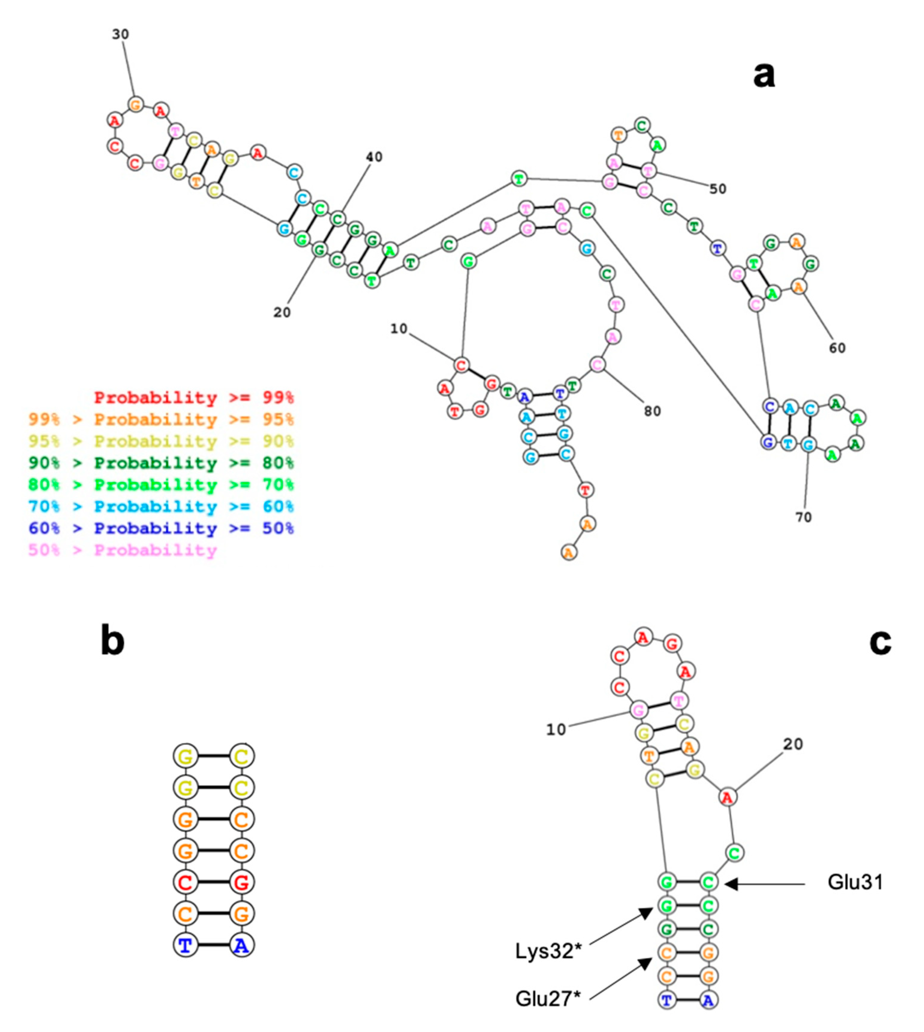 Sensors Free Full Text Rational Design Of A User Friendly Aptamer Peptide Based Device For The Detection Of Staphylococcus Aureus Html Sensors Free Full Text Rational Design Of A User Friendly Aptamer Peptide Based Device For The Detection Of Staphylococcus Aureus Html