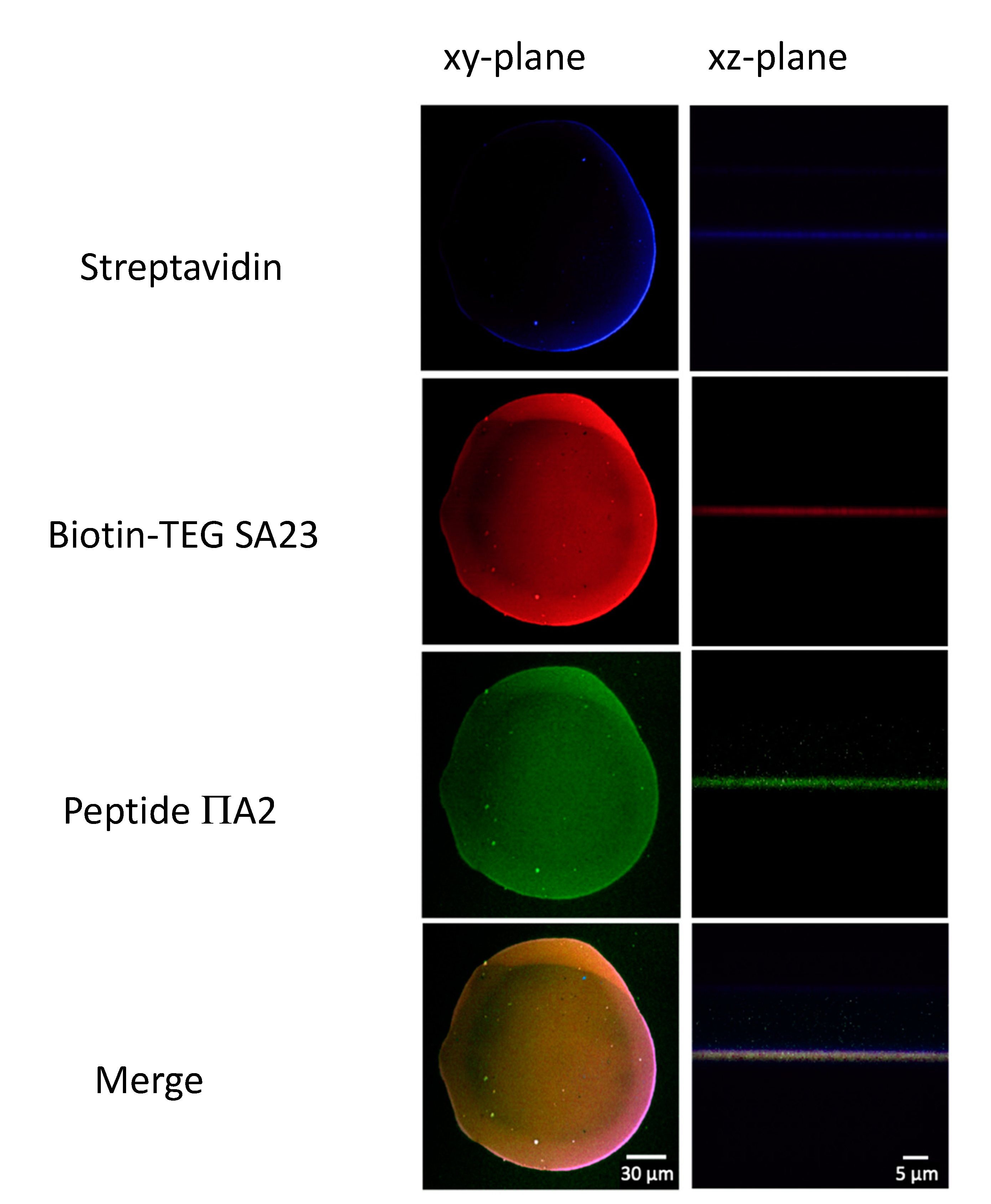 Sensors 20 04977 g008 Sensors 20 04977 g008