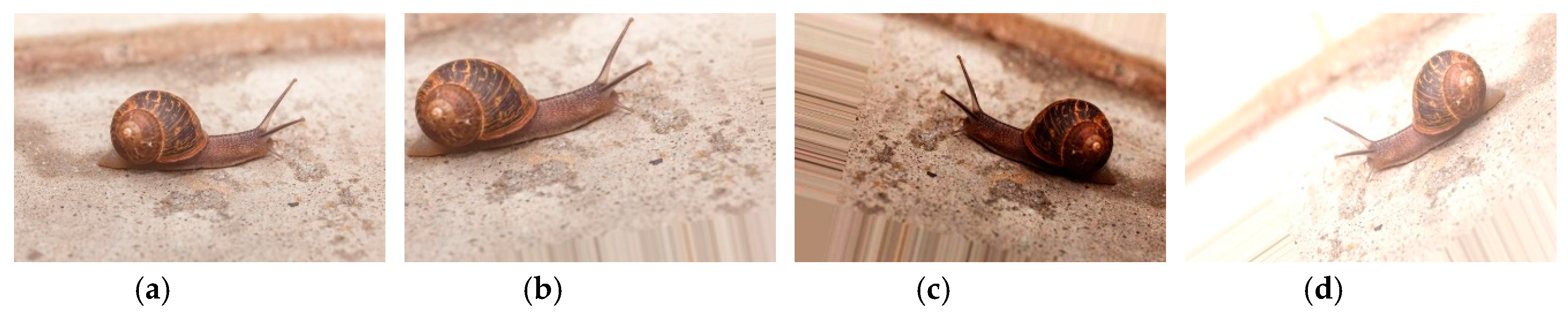 Sensors 20 04992 g002