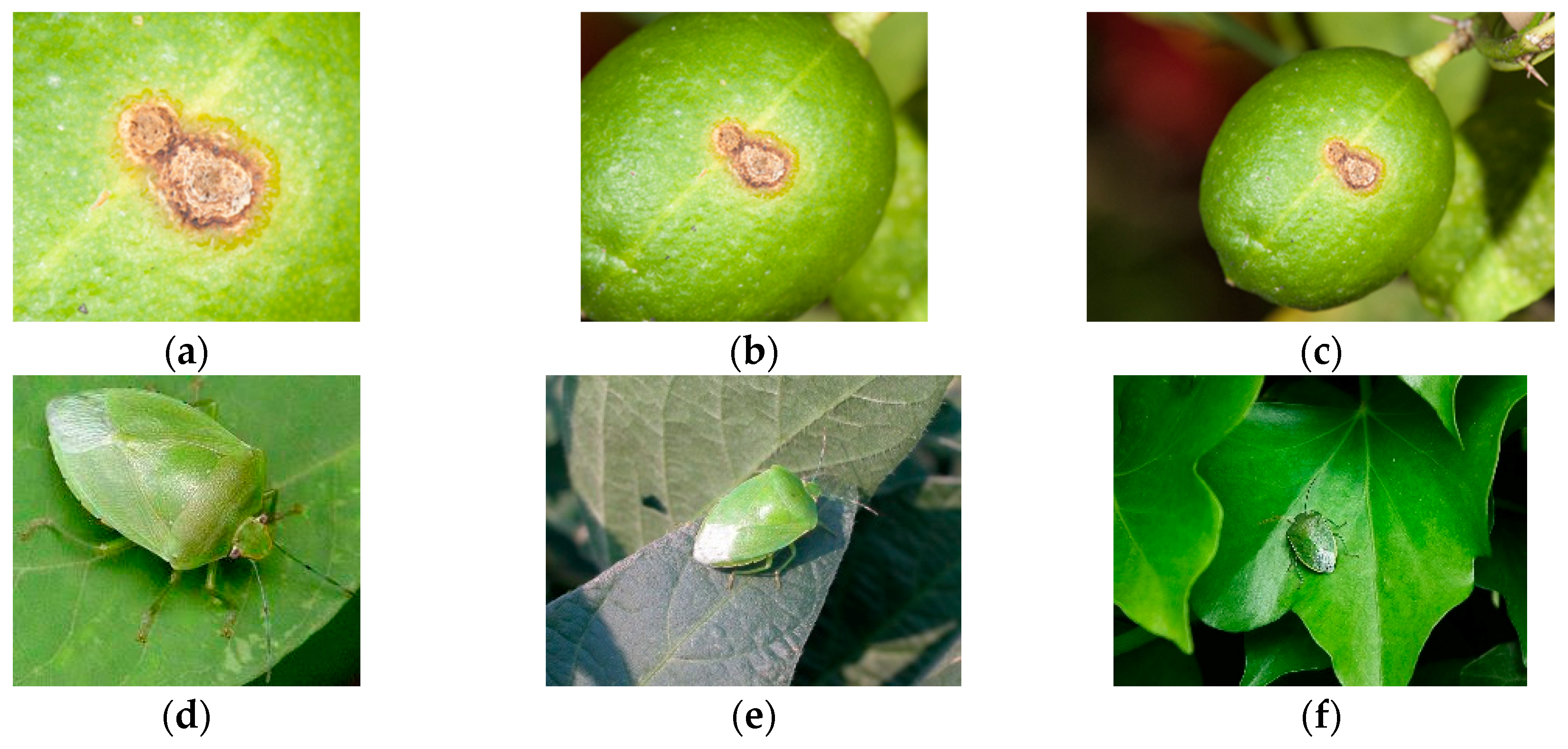 Sensors 20 04992 g003