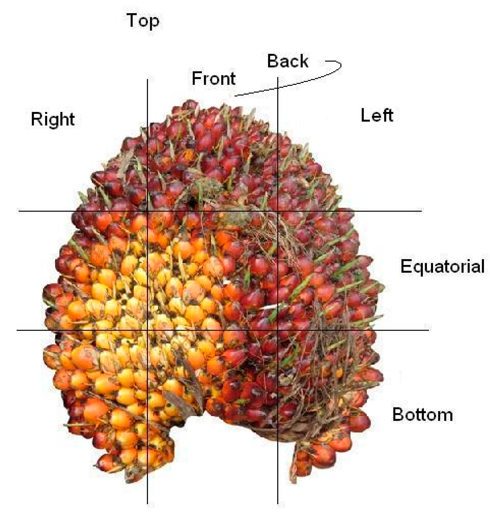 Sensors 20 05001 g004