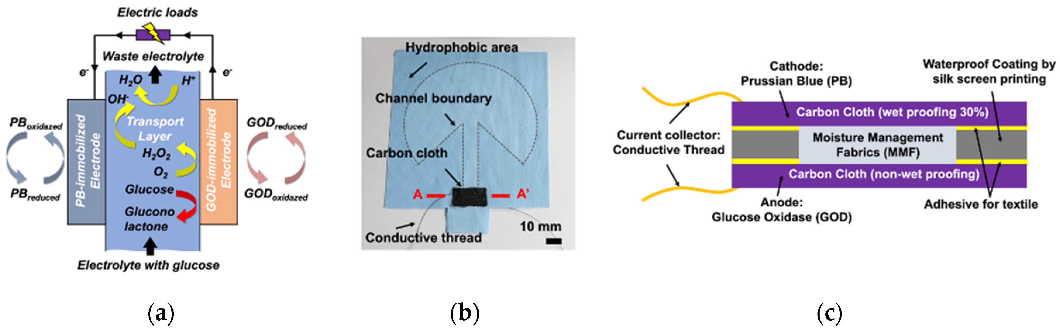 Sensors 20 05009 g001 Sensors 20 05009 g001
