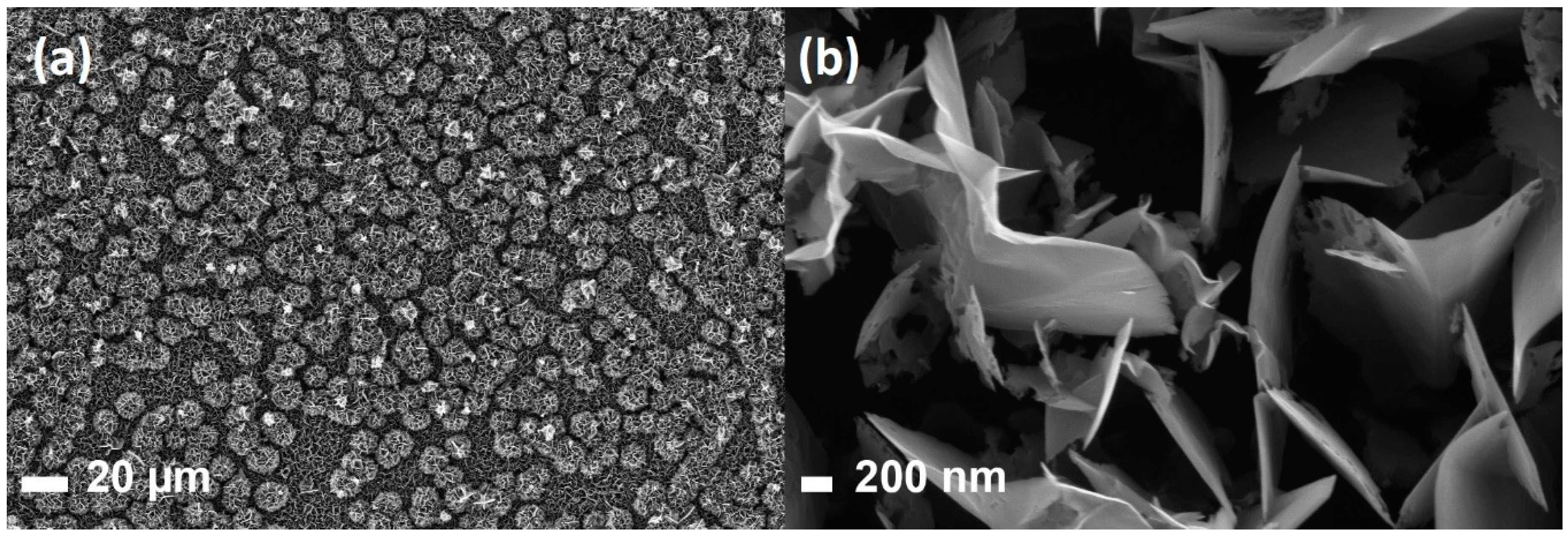 Sensors 20 05028 g002