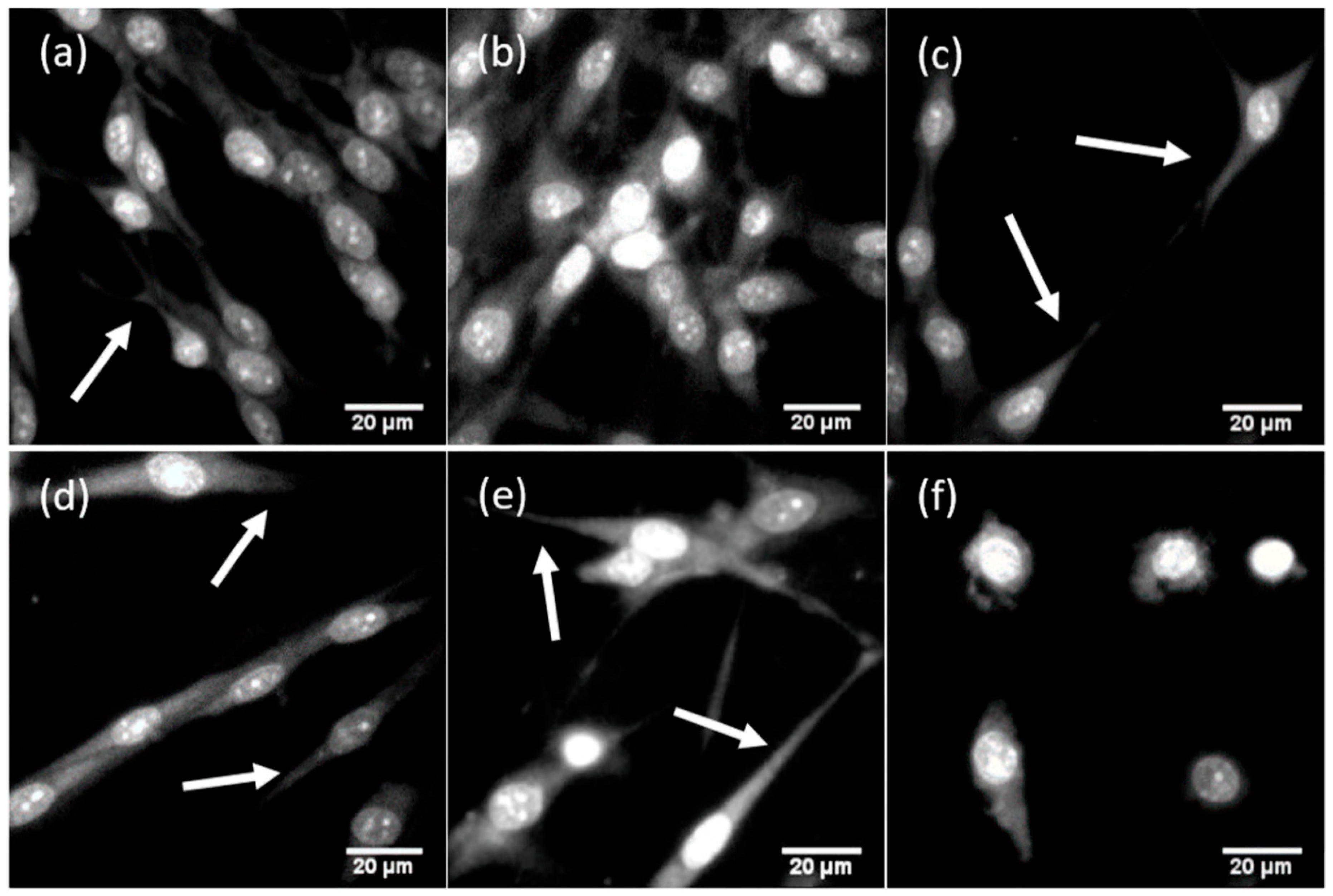 Sensors 20 05028 g004