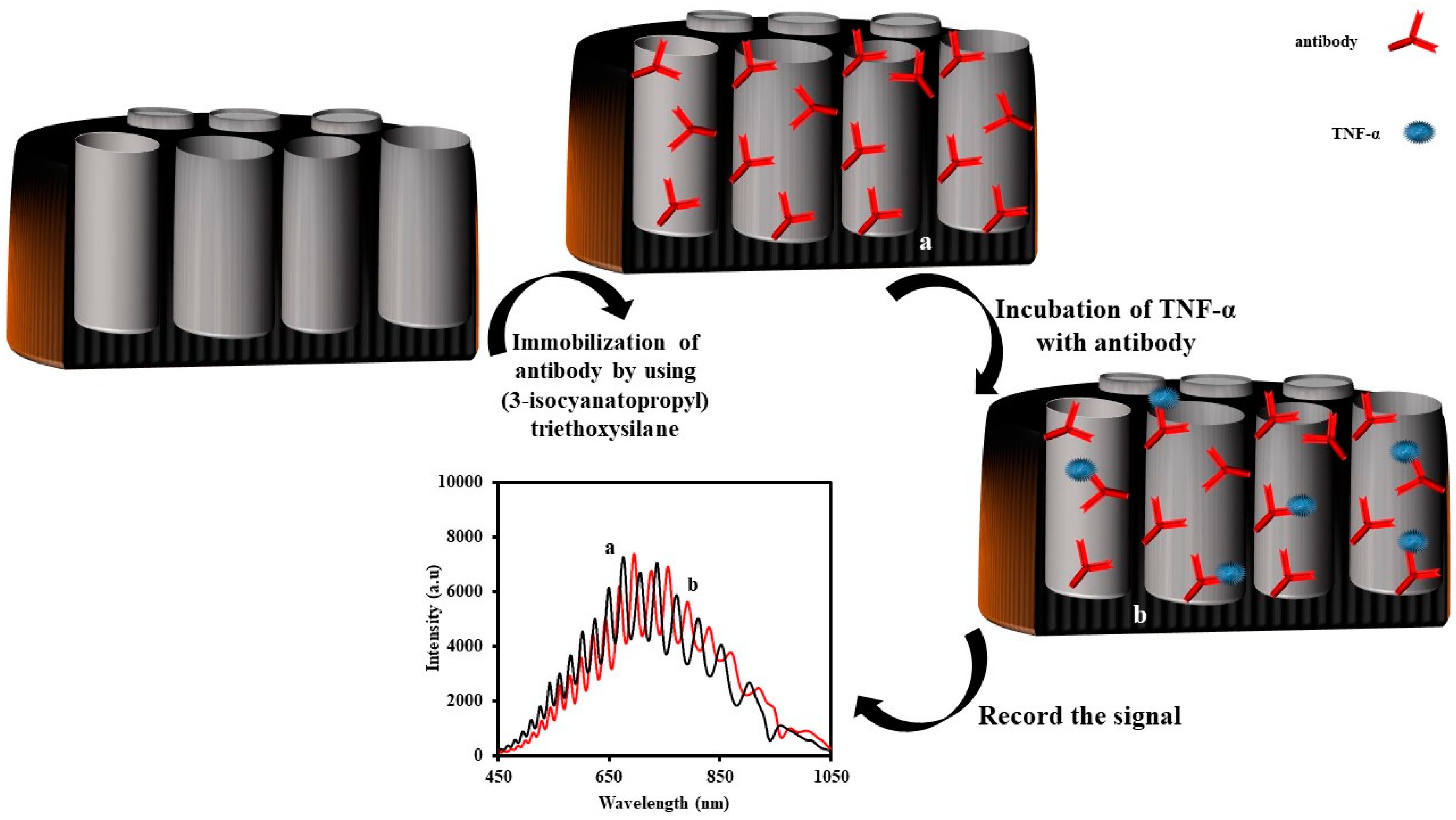 Sensors Free Full Text Advances In Optical Biosensors And Sensors Using Nanoporous Anodic Alumina Html Sensors Free Full Text Advances In Optical Biosensors And Sensors Using Nanoporous Anodic Alumina Html