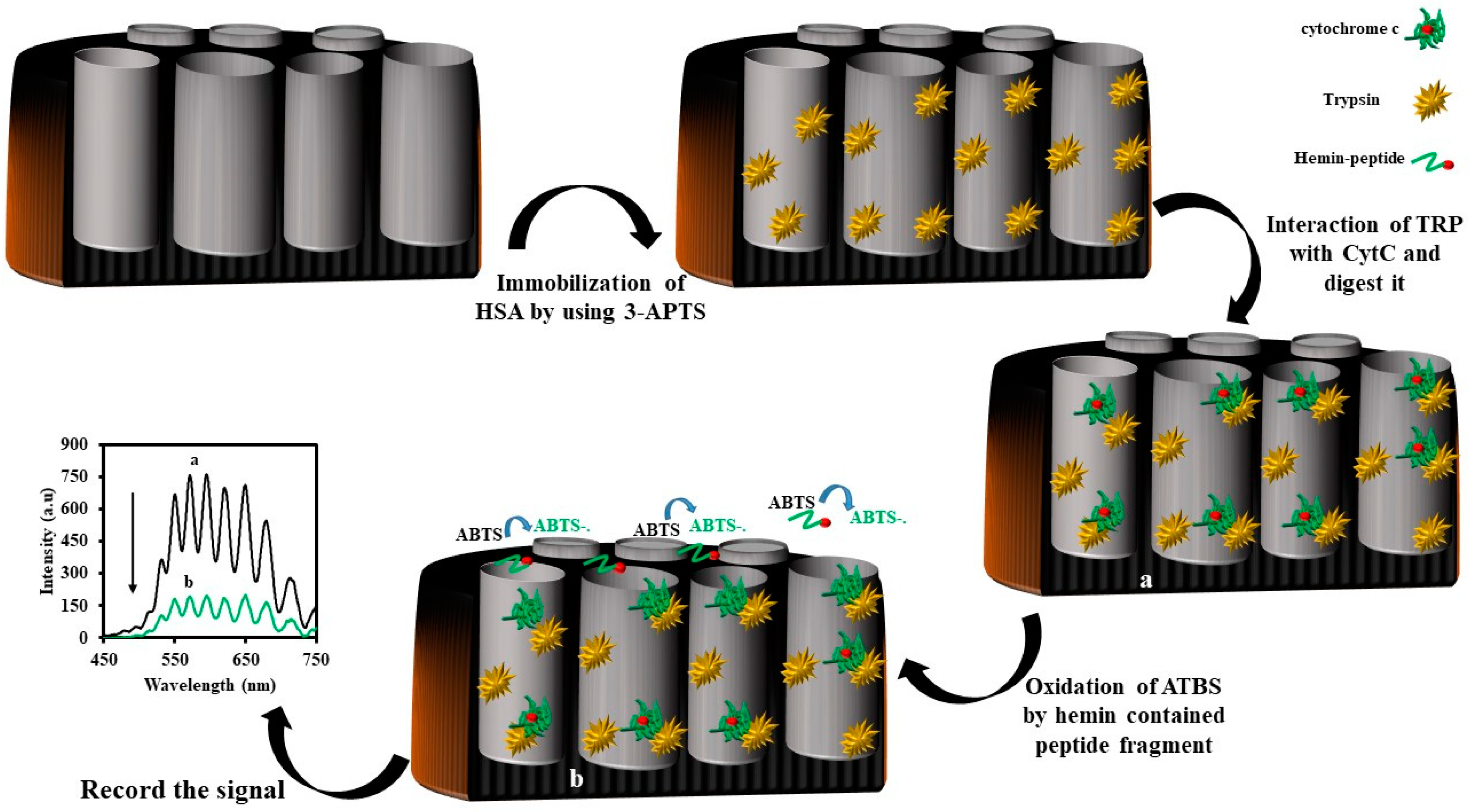Sensors Free Full Text Advances In Optical Biosensors And Sensors Using Nanoporous Anodic Alumina Html