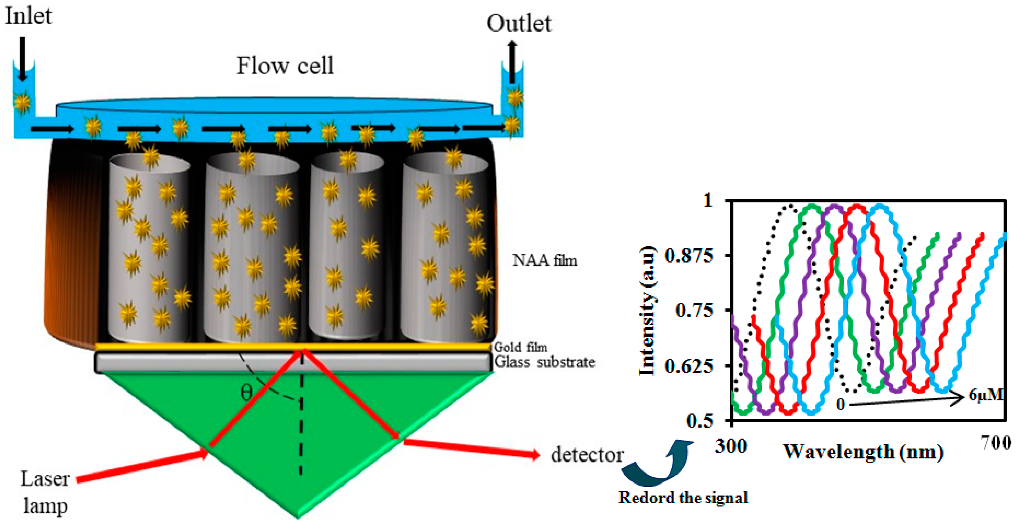 Sensors Free Full Text Advances In Optical Biosensors And Sensors Using Nanoporous Anodic Alumina Html Sensors Free Full Text Advances In Optical Biosensors And Sensors Using Nanoporous Anodic Alumina Html