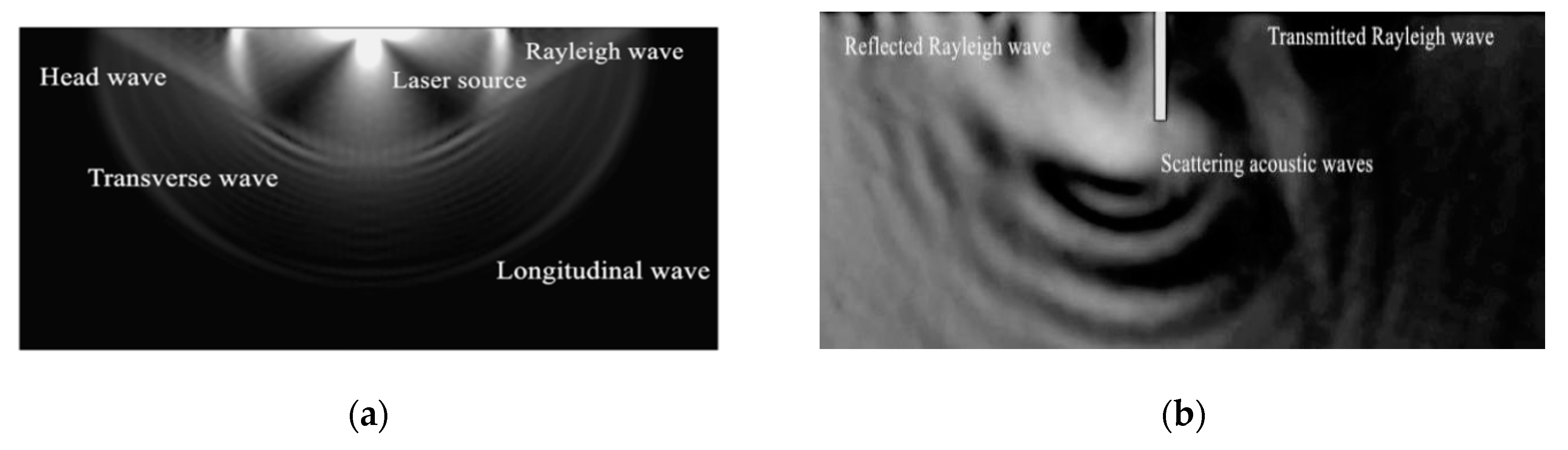 Sensors 20 05077 g005a