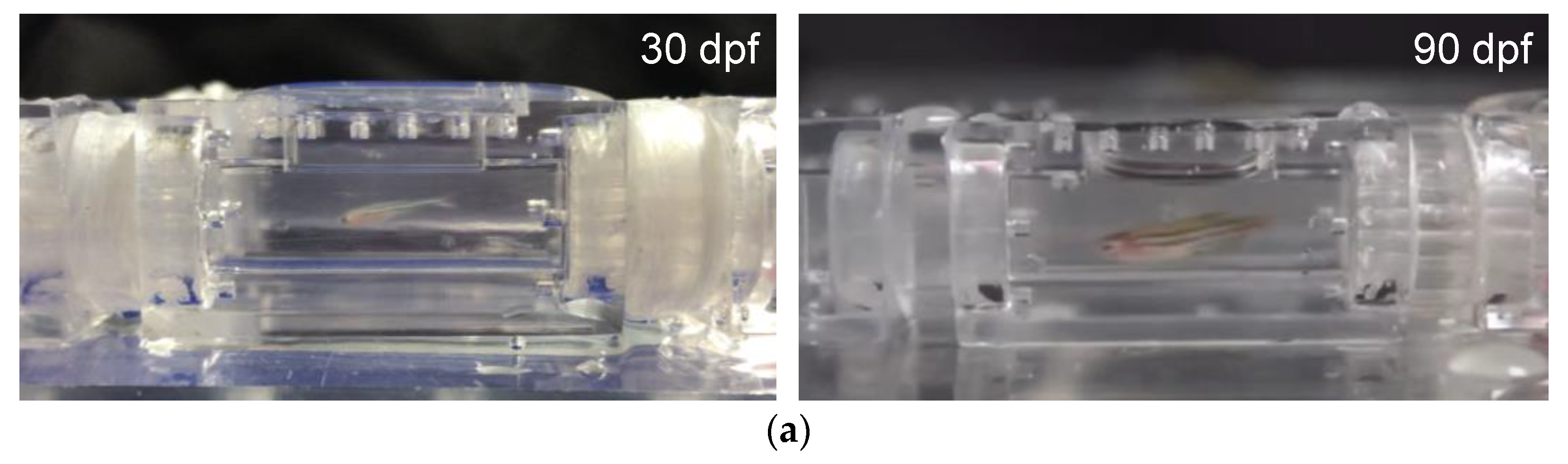Sensors 20 05088 g005a Sensors 20 05088 g005a