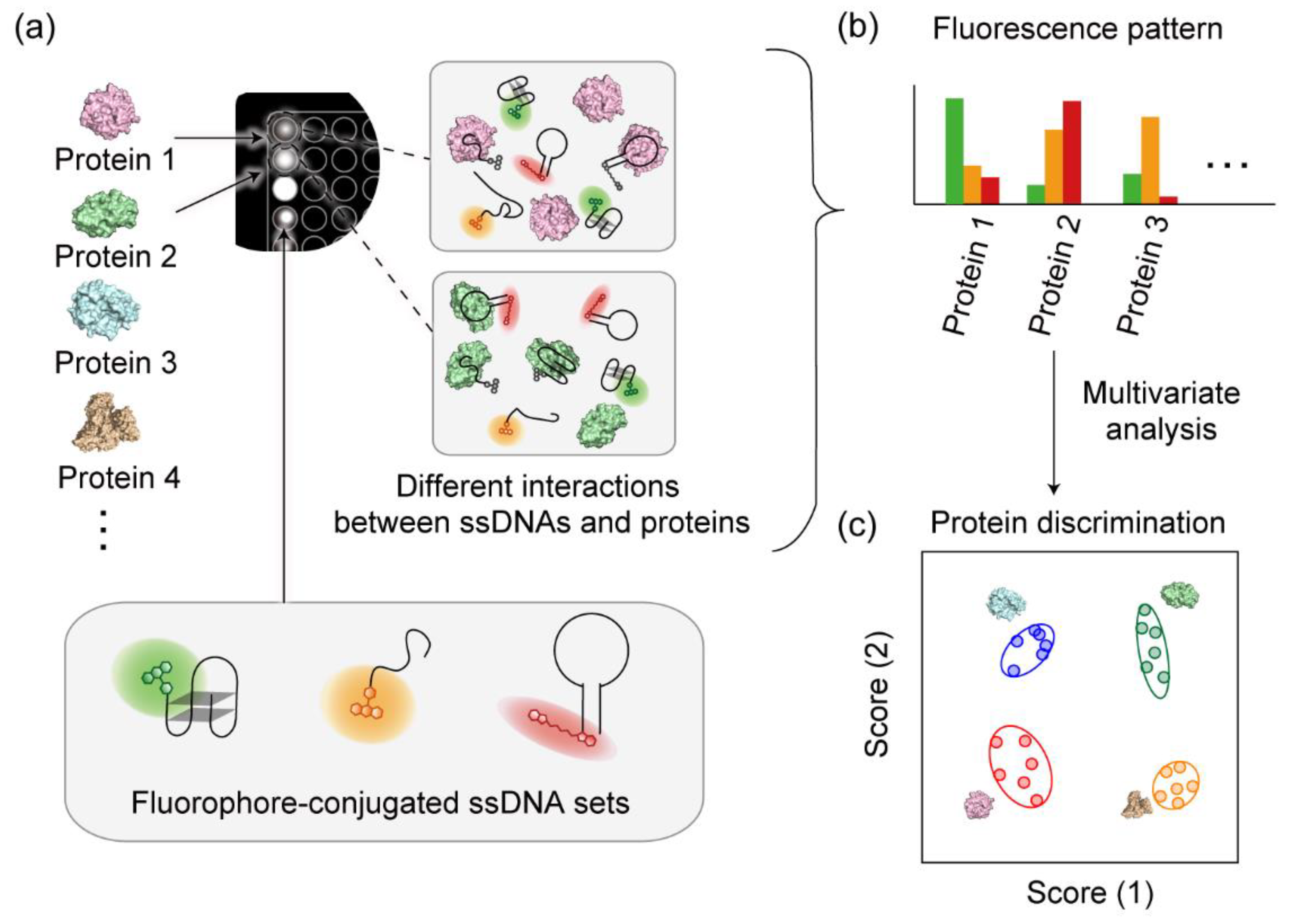 Sensors Free FullText A Multichannel PatternRecognitionBased