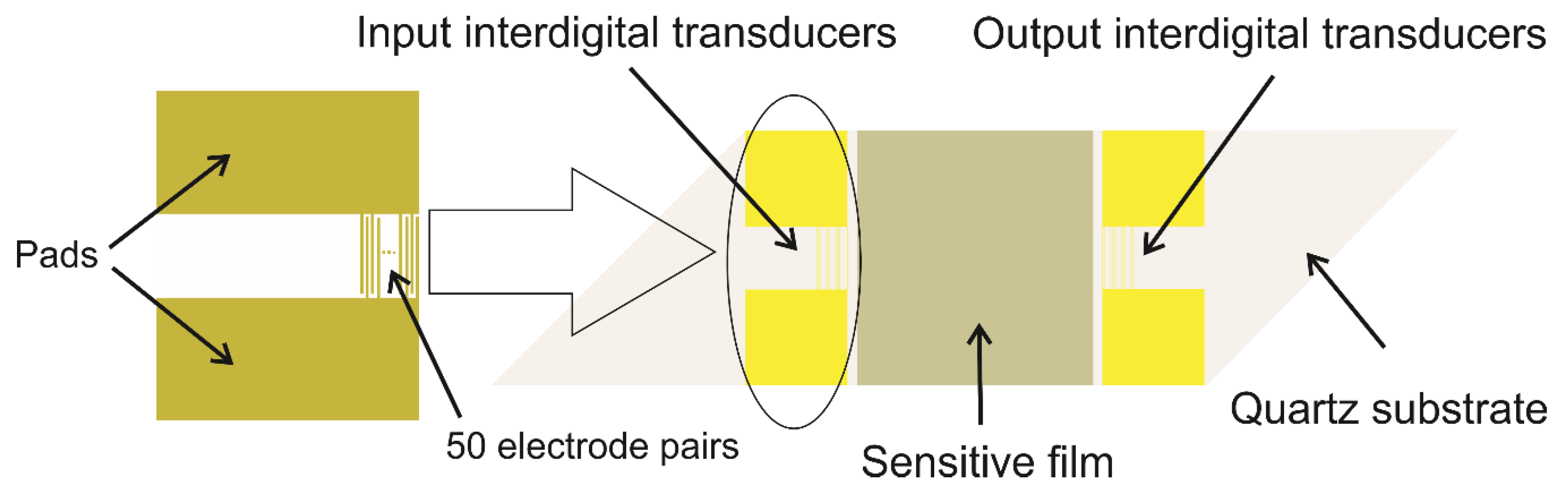 Sensors Free Full Text Zno Metal Oxide Semiconductor In Surface Acoustic Wave Sensors A Review Html