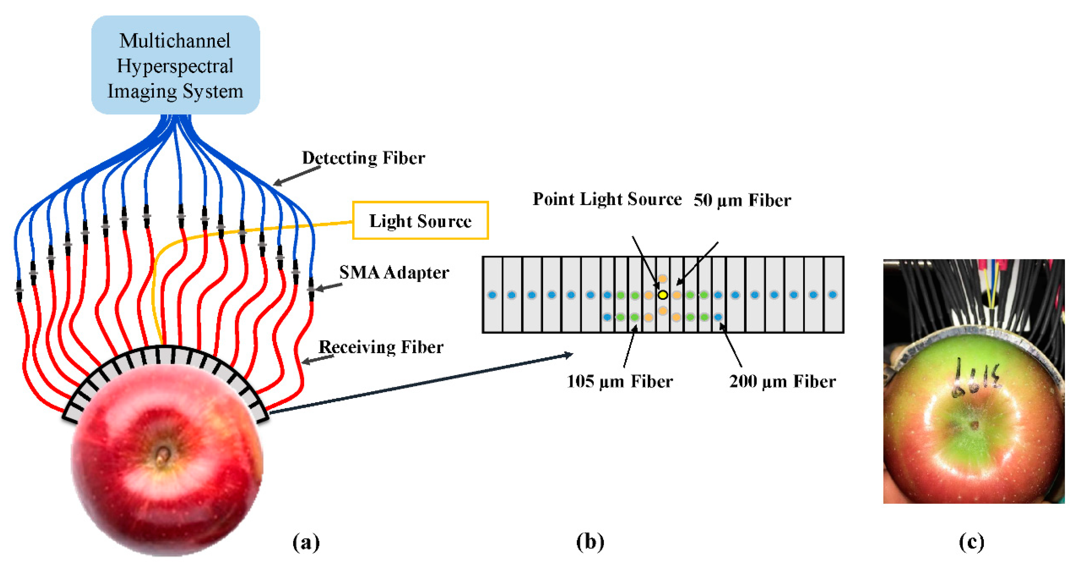 Sensors 20 05120 g001 Sensors 20 05120 g001