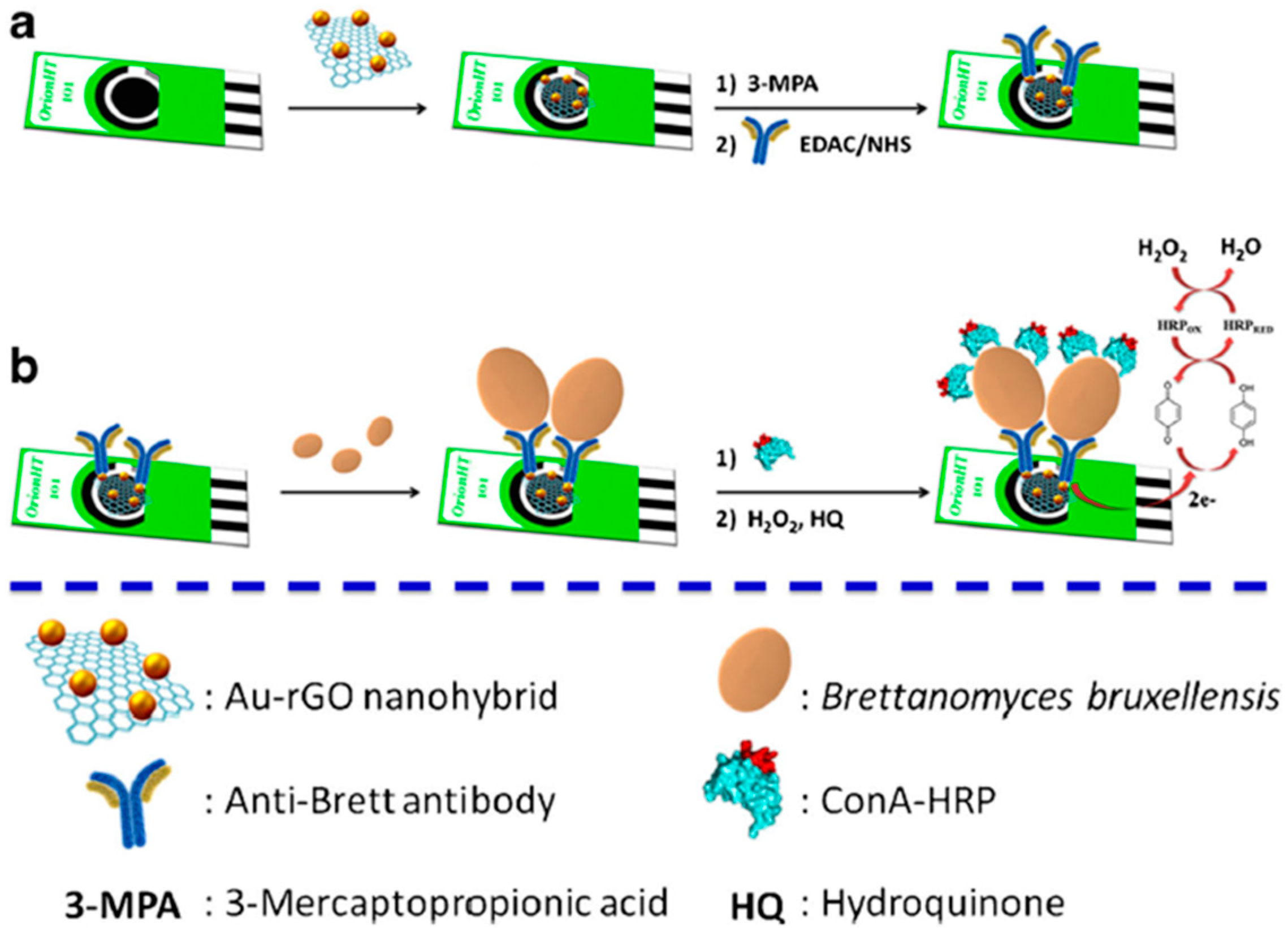 Sensors 20 05125 g002