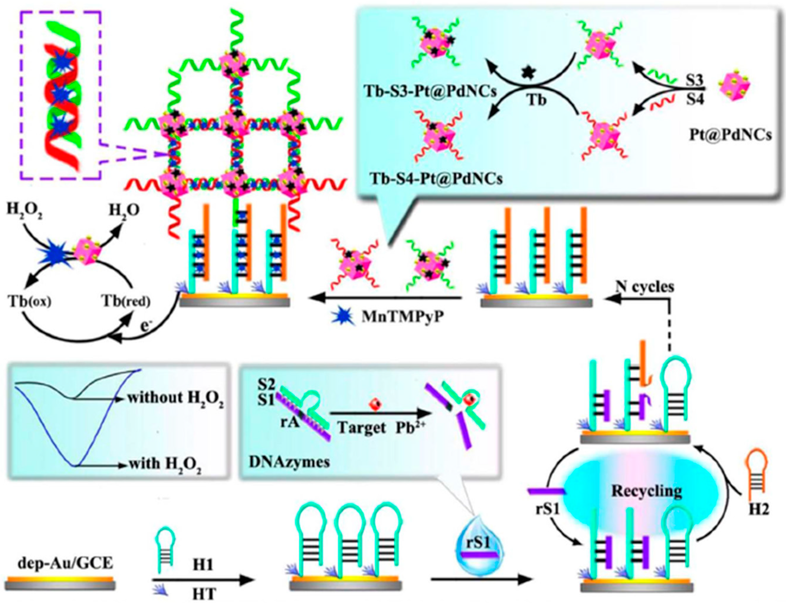 Sensors 20 05125 g009