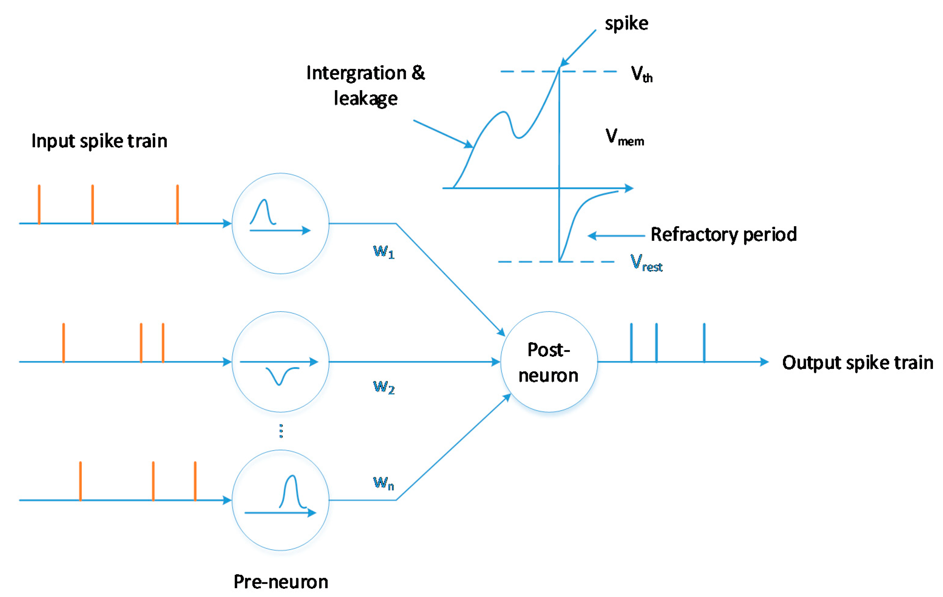 Sensors 20 05126 g003